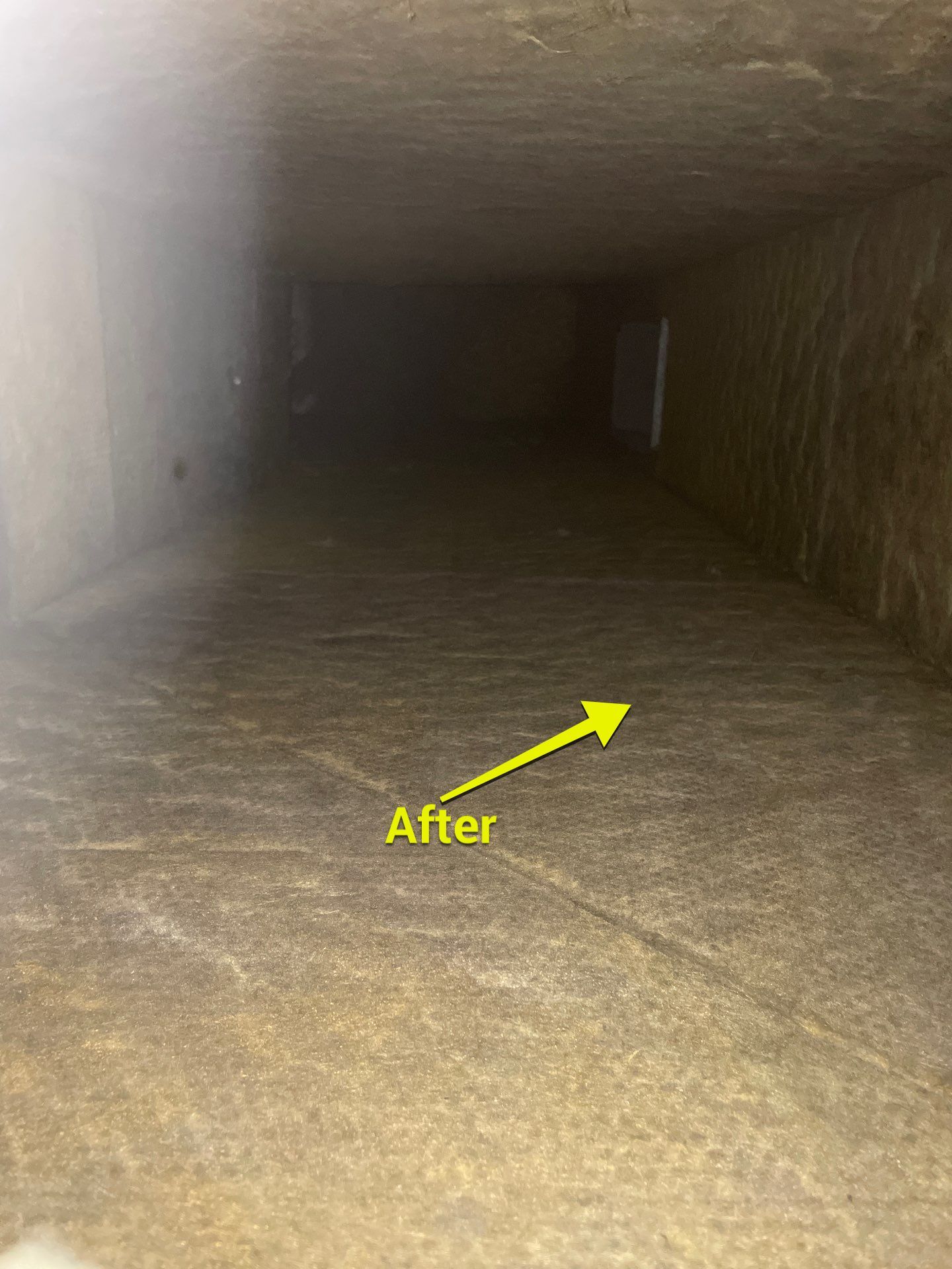 Air Duct Cleaning in Orlando by Hygienic Air, Inc
