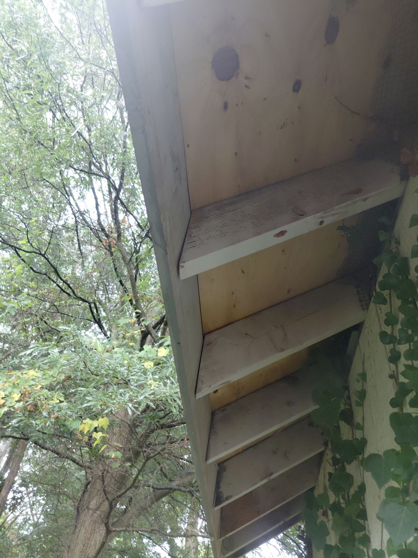 Alexandria :Residential Roof Replacement with CertainTeed Landmark Pro in Max Def Cobblestone Gray by RM Banning, Inc.