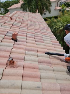 Project in Hollywood