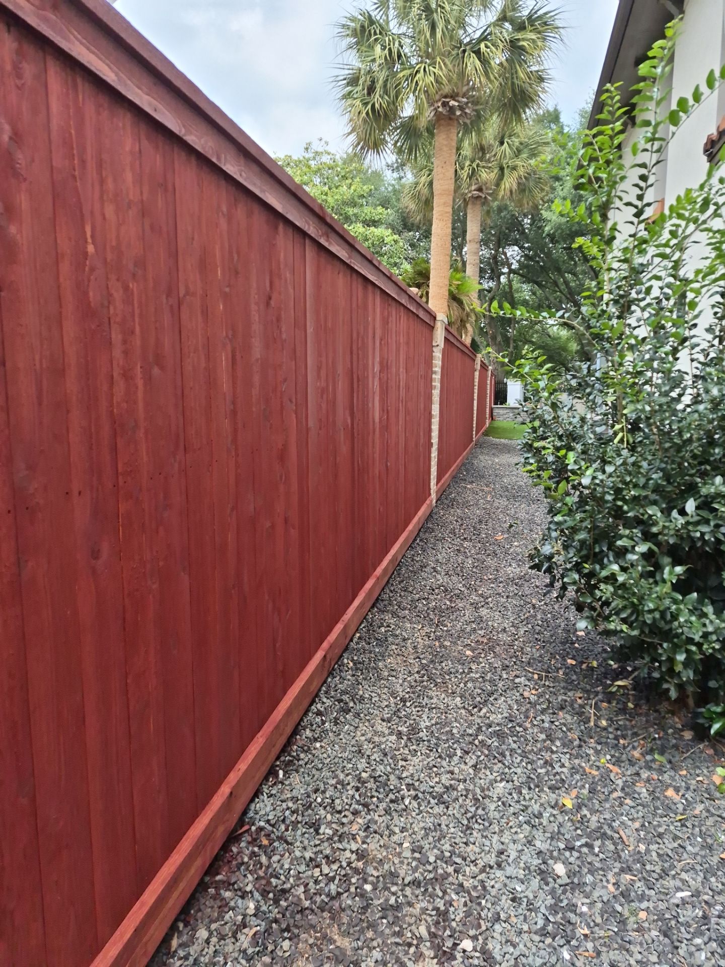 Western Red Cedar Privacy Fence with Dual-Stain Finish by Tim's Fences
