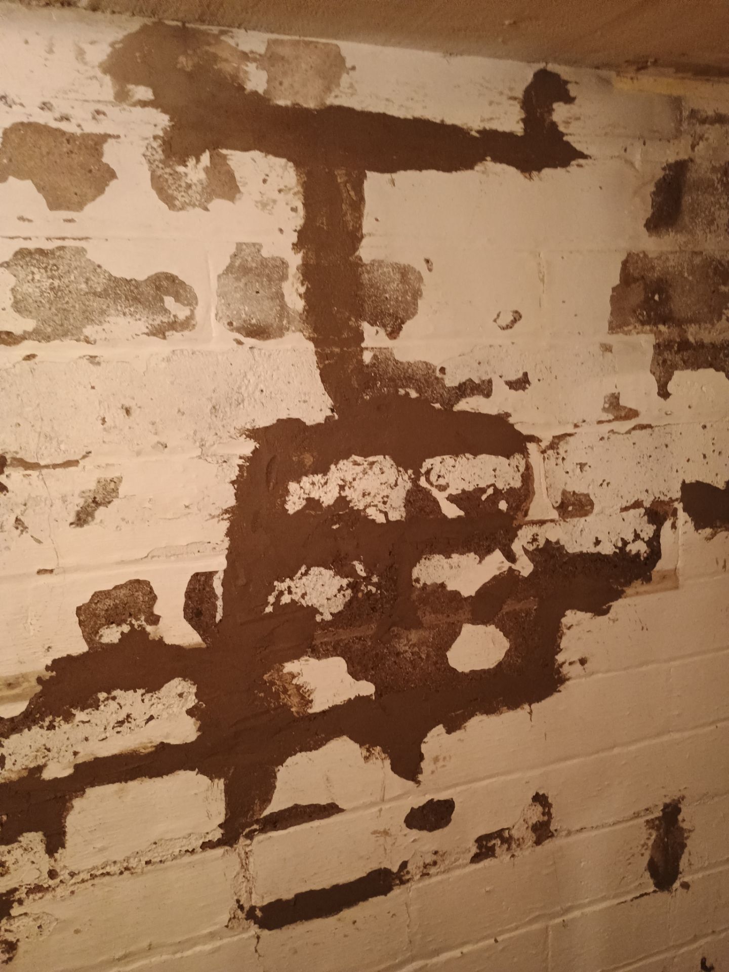 Updating Taylor's Waterproofing System by Waterproofing Northeast