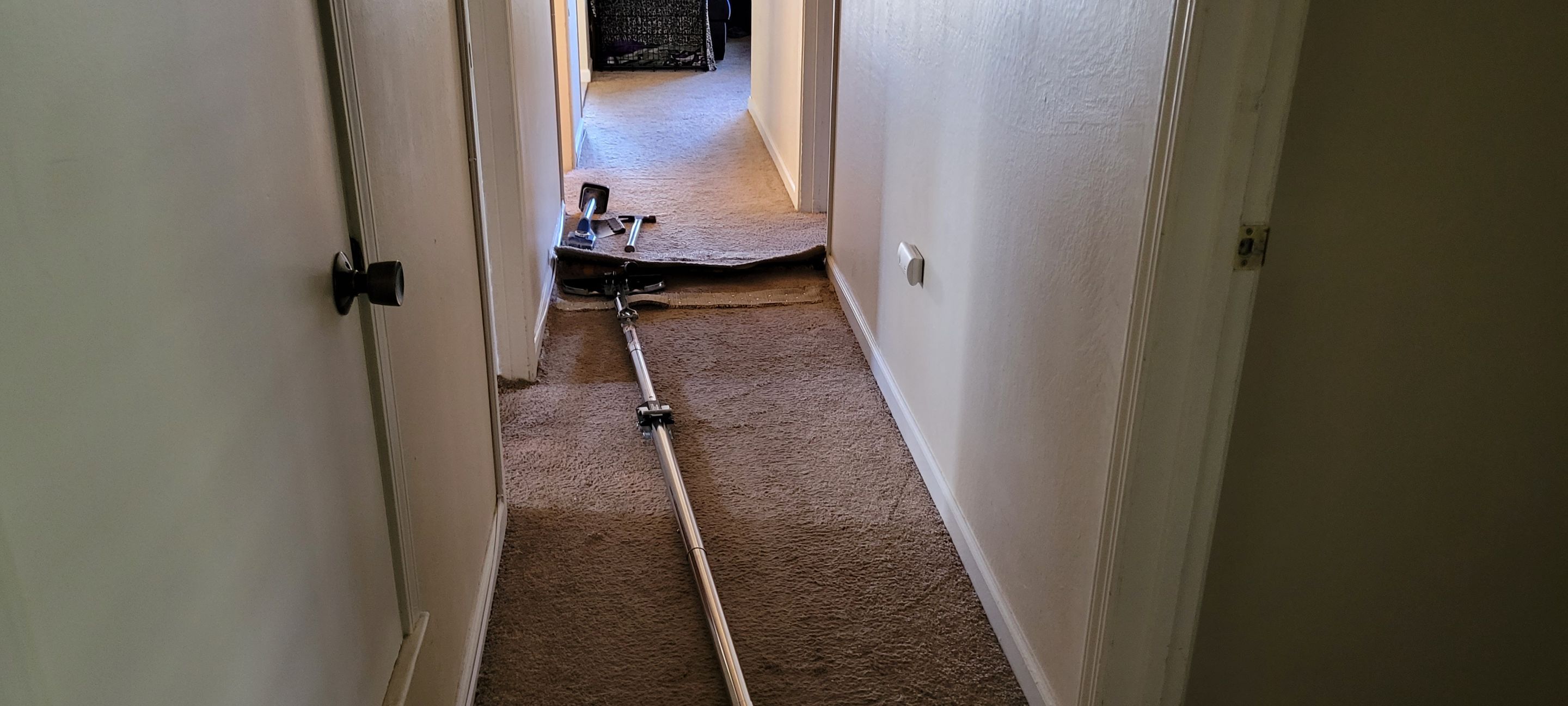 Fixing Carpet Wrinkles in a Hallway by Ardent Carpet Restore LLC