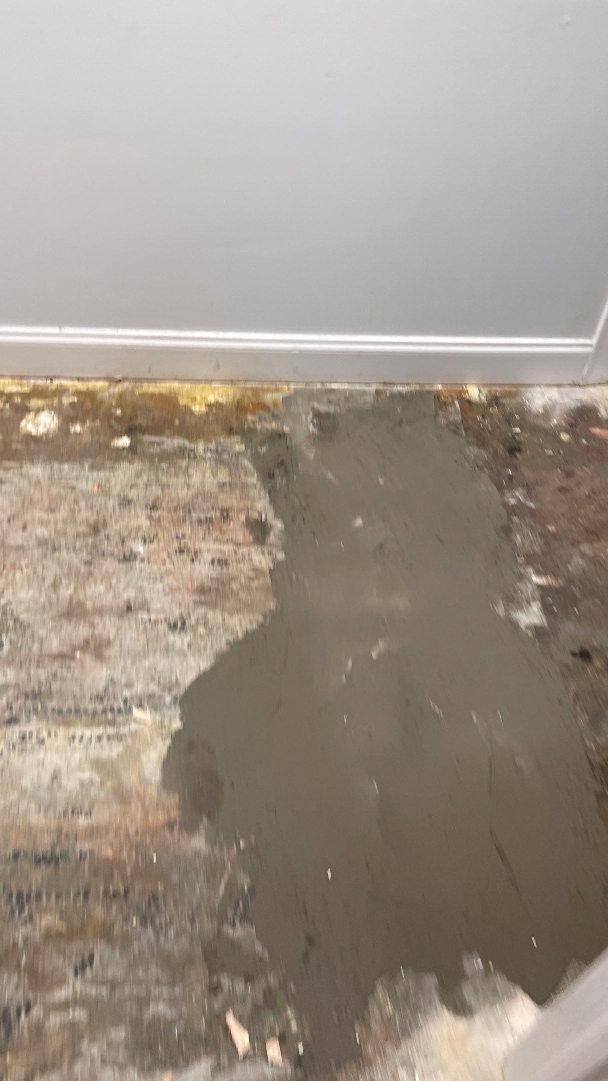 Office Remodel from Worn Out Carpet to Sleek Glued Down LVP by Footprints Floors of Coastal Carolina