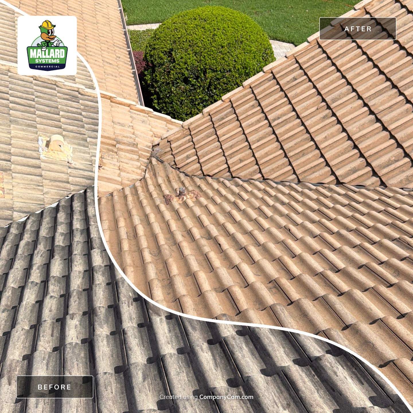 Residential Tile Roof Cleaning in Windermere by Mallard Systems