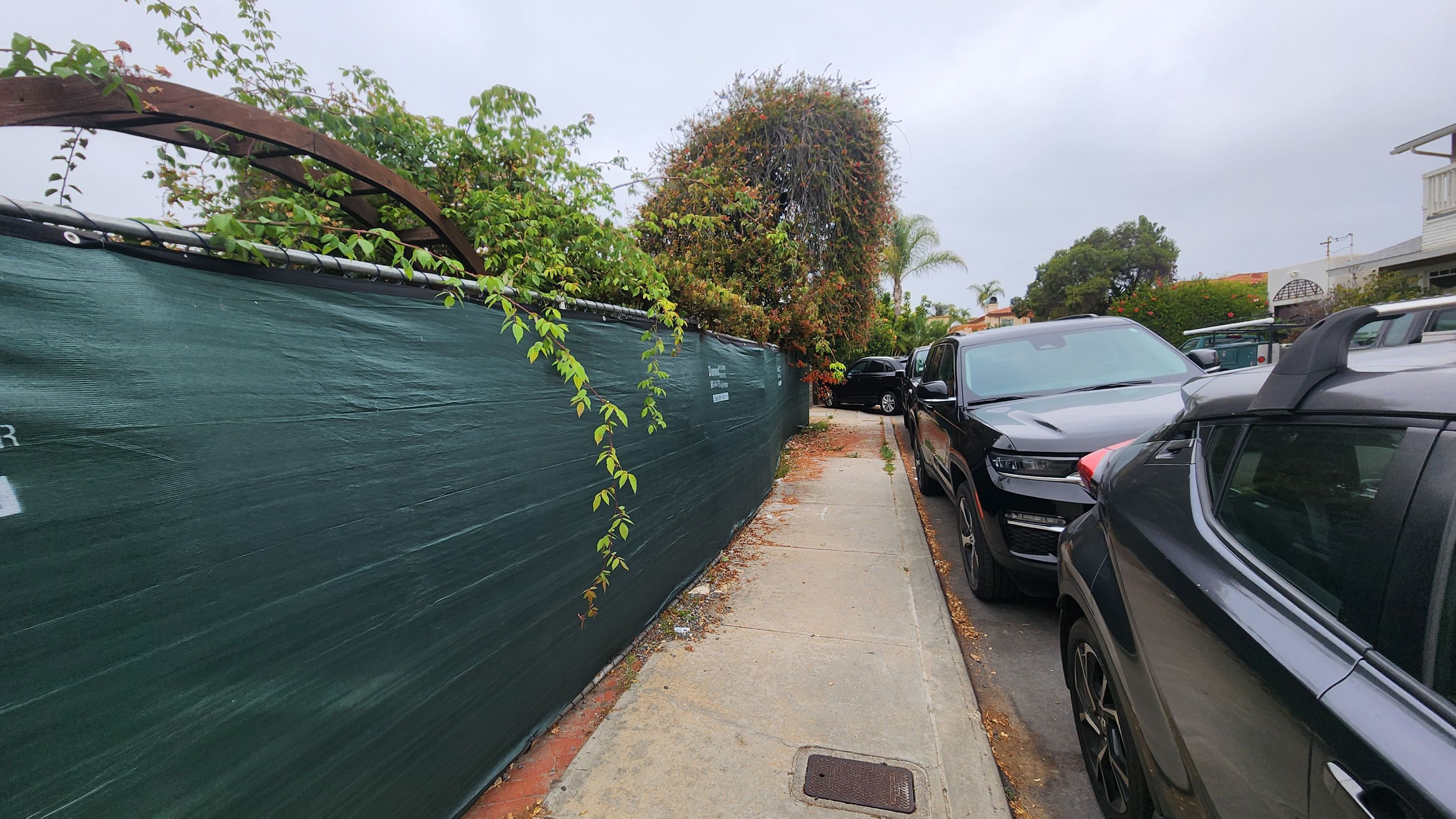 Site Clearing and Debris Removal for La Jolla Construction Project by Yard Techs