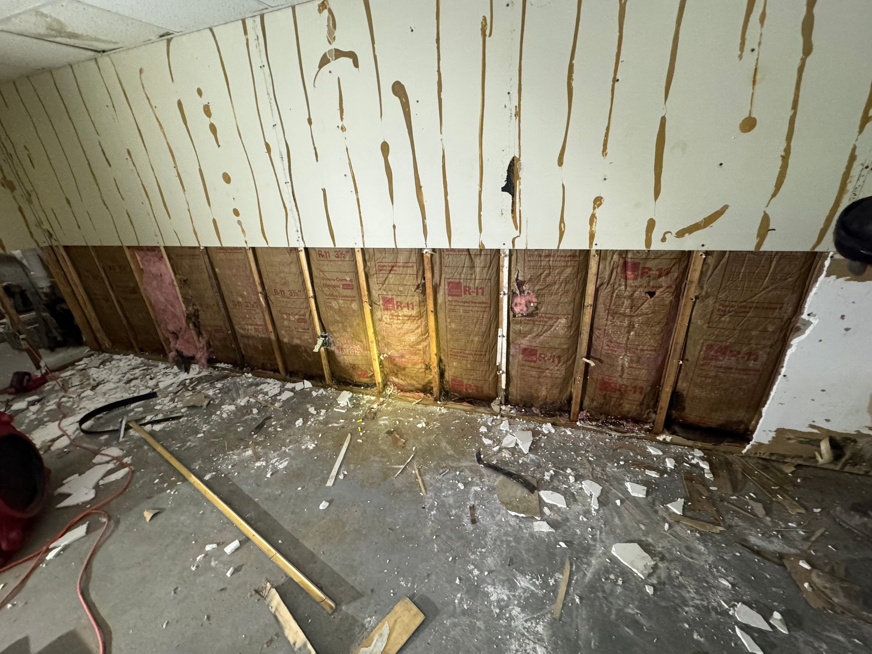 Basement Mold Remediation by Home Guarantee, LLC