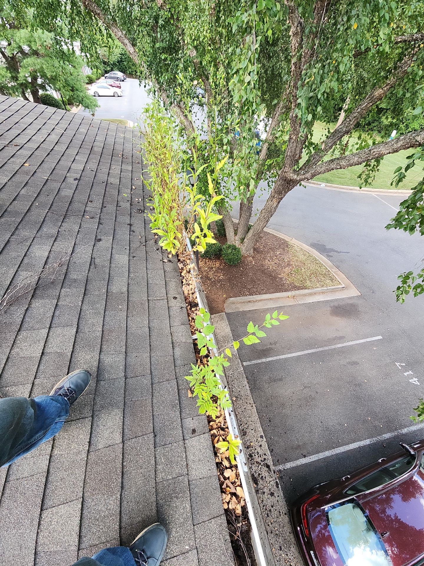 HOA gutter cleaning before photo