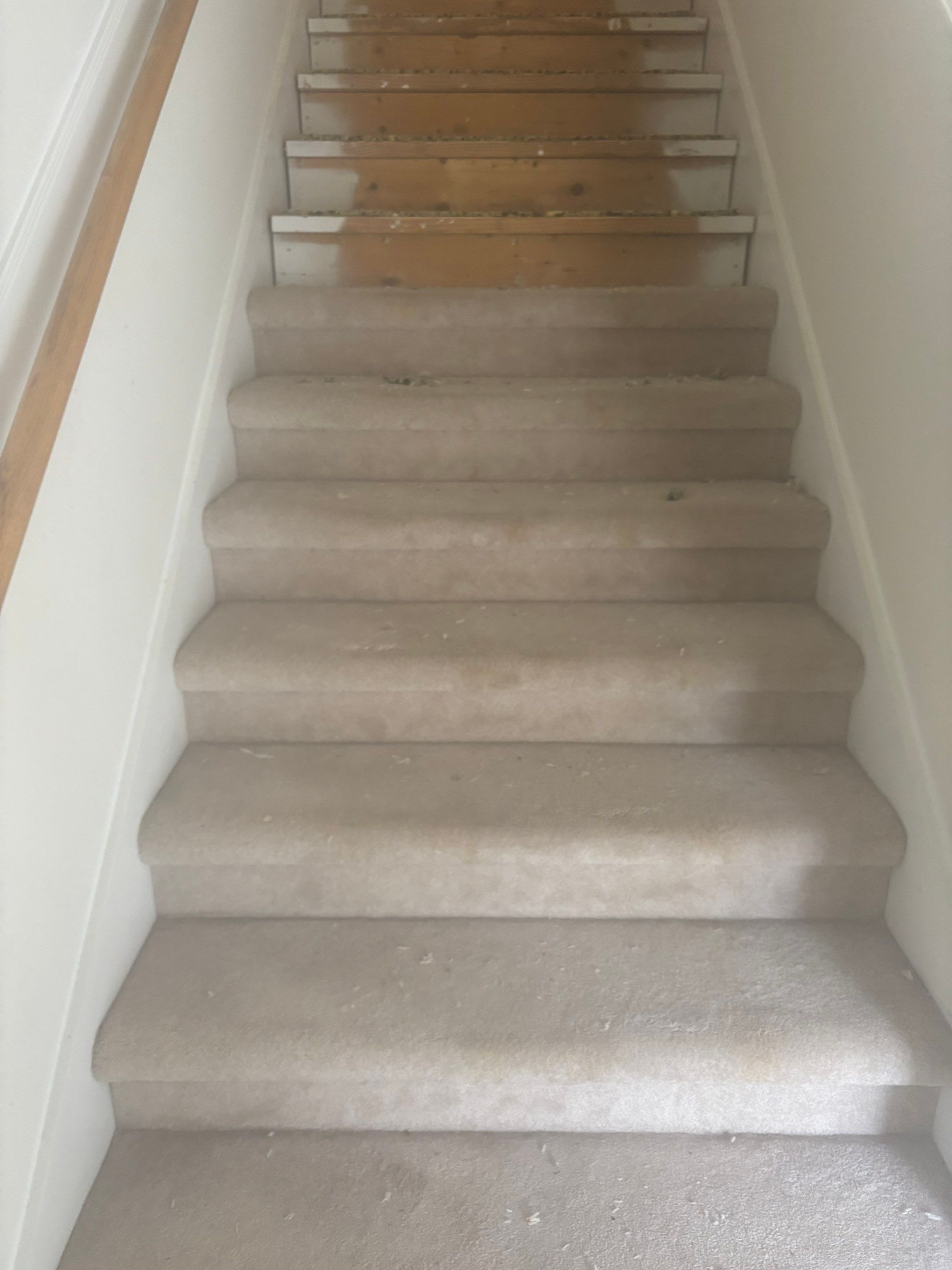 Project in Jacksonville by Serene Construction