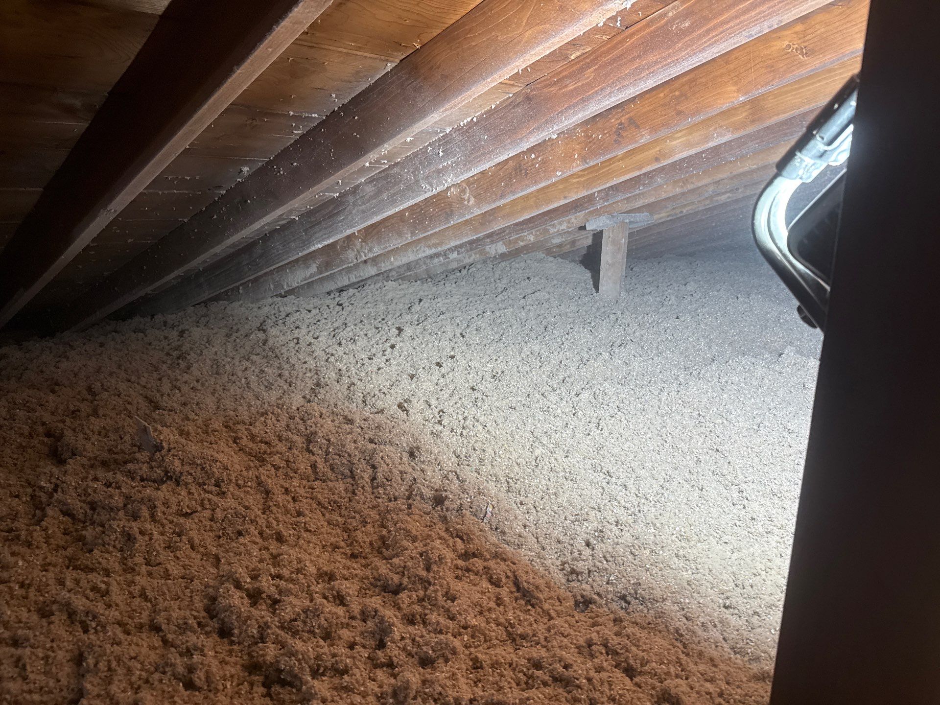 Blown-In Attic Insulation and Rodent Remediation in Canonsburg by Home Environment Solutions