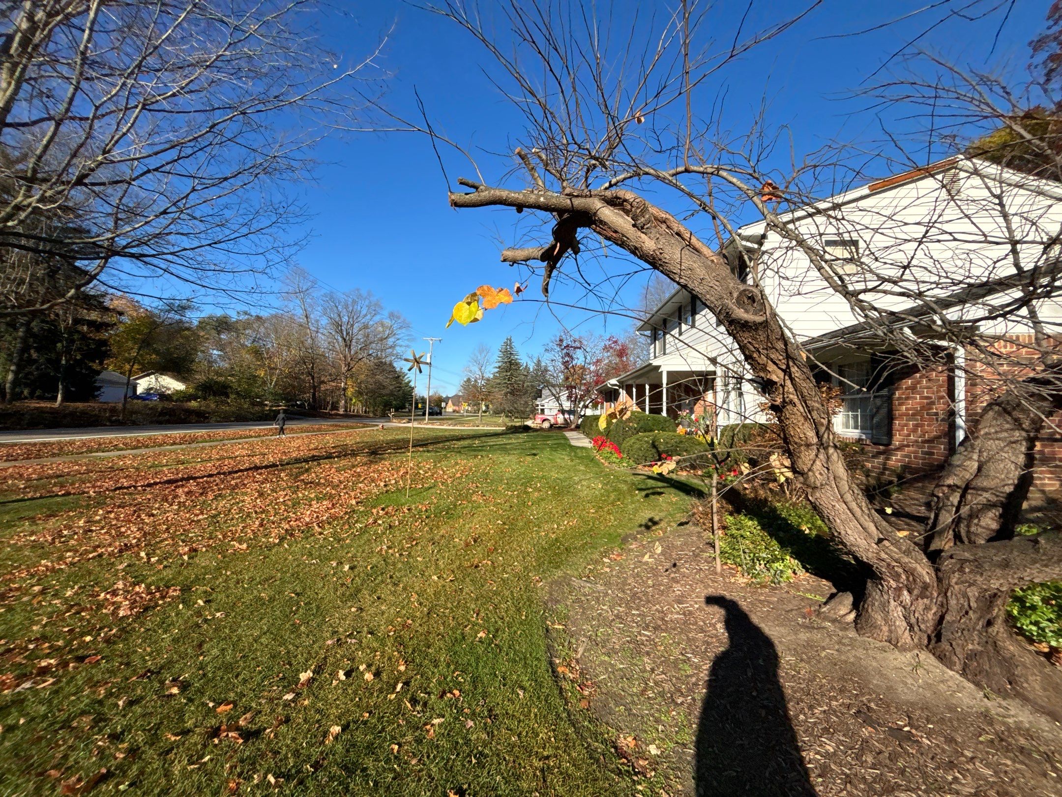 Roof Replacement using Owens Corning Onyx Black by 180 Contractors