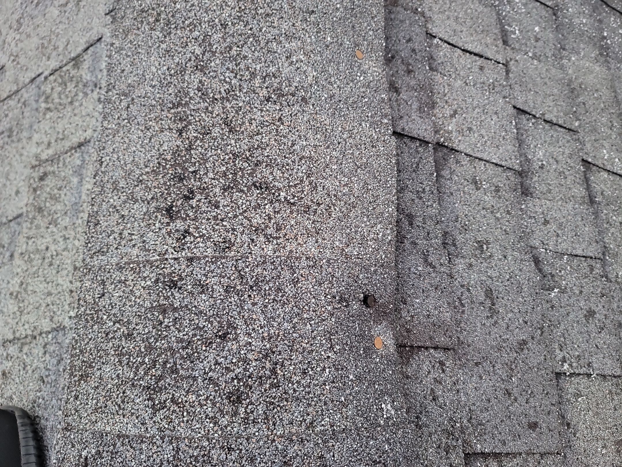 Atlas Pinnacle, Color, Black Shadow, Drip Edge, Color, White by Eagle Eye Roofing