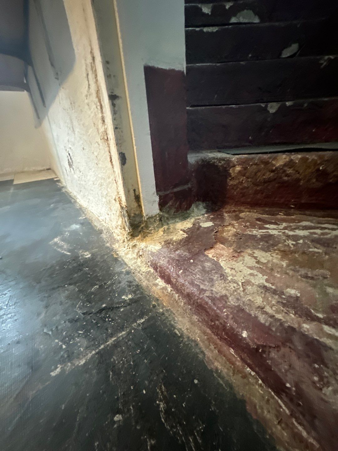 A Targeted Solution for Valerie’s Unique Waterproofing Needs by Waterproofing Northeast