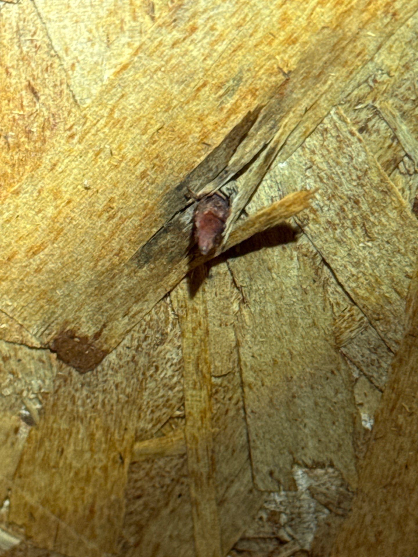 Project in Seattle by Connolly Construction Company