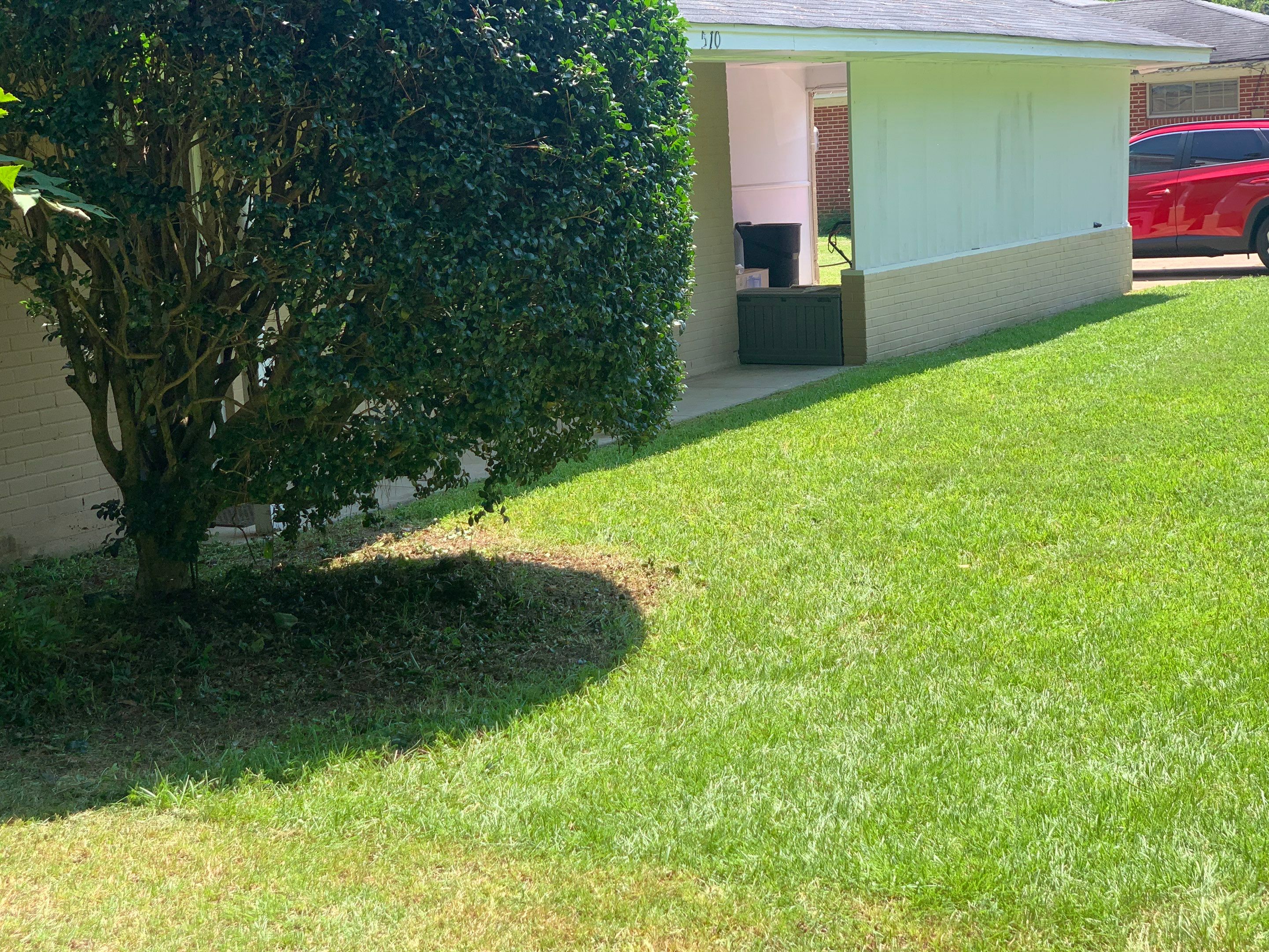Yard Makeover by College Bros Outdoor services