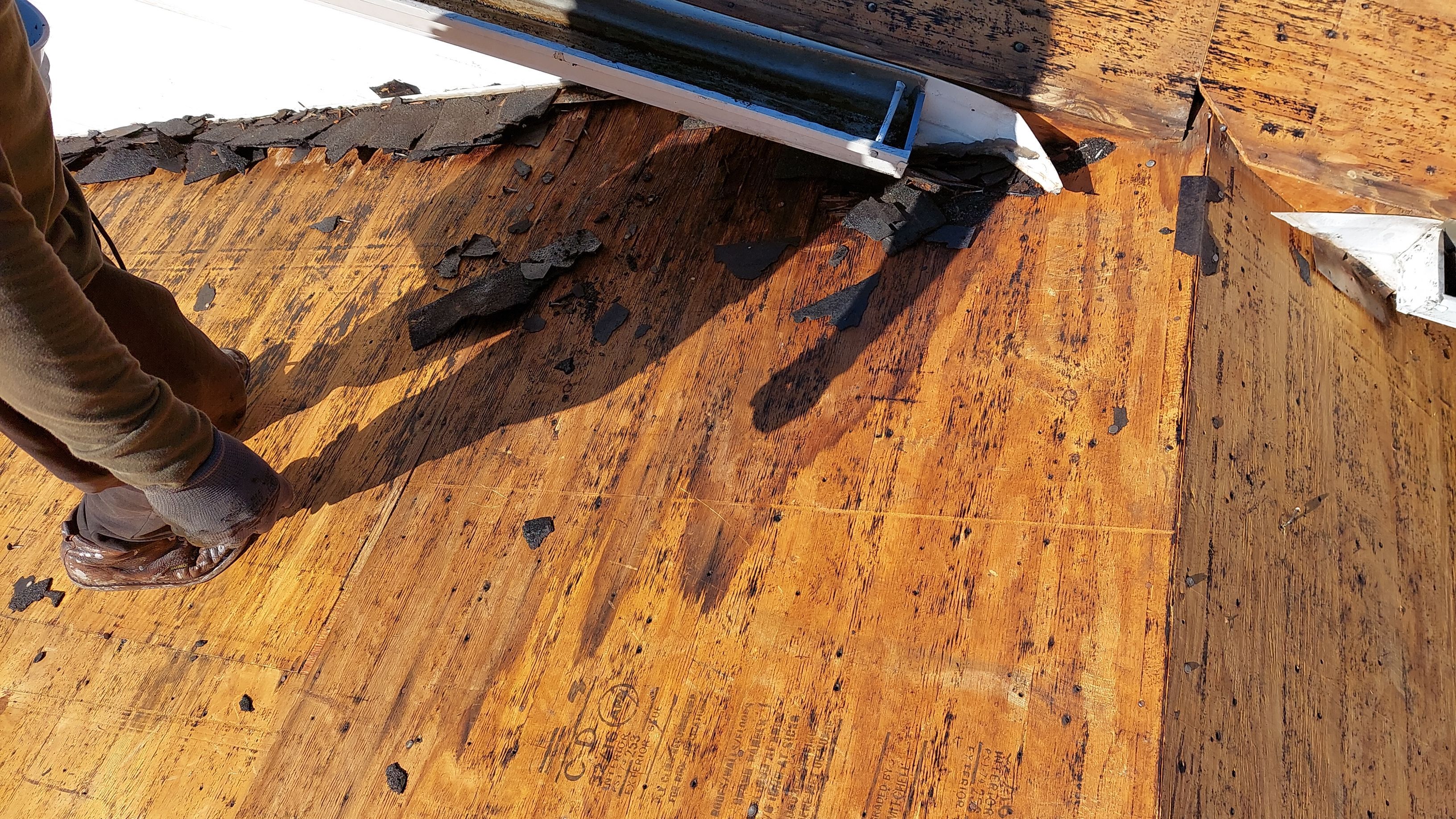 Liberty Township - Pristine Black by Tamlin Roofing