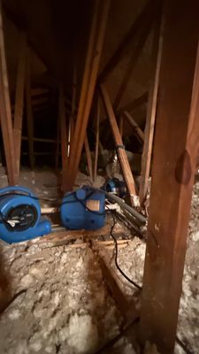 Storm & Hurricane Damage — Lehigh Acres, FL