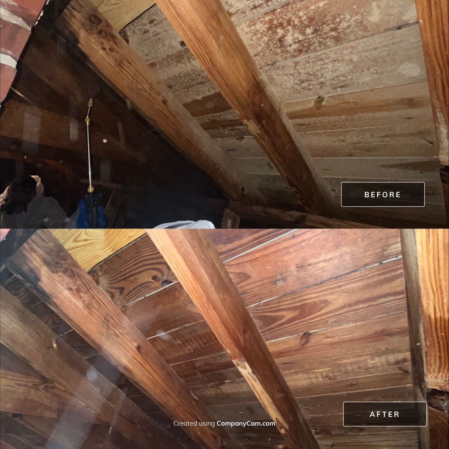 Limited Mold Remediation by EAS Environmental, LLC.