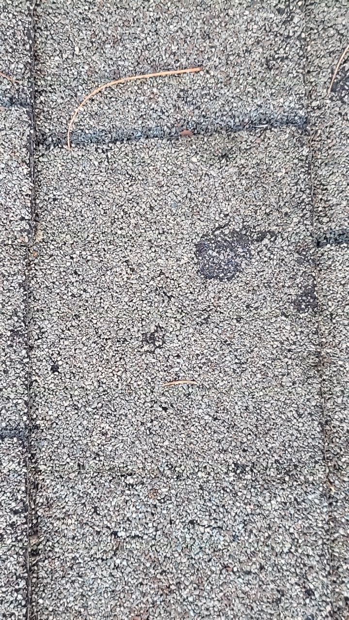 ATLAS PINNACLE HP COLOR: SCOTCHGARD HEATHERBLEND DRIP EDGE: MUSKET BROWN by Eagle Eye Roofing