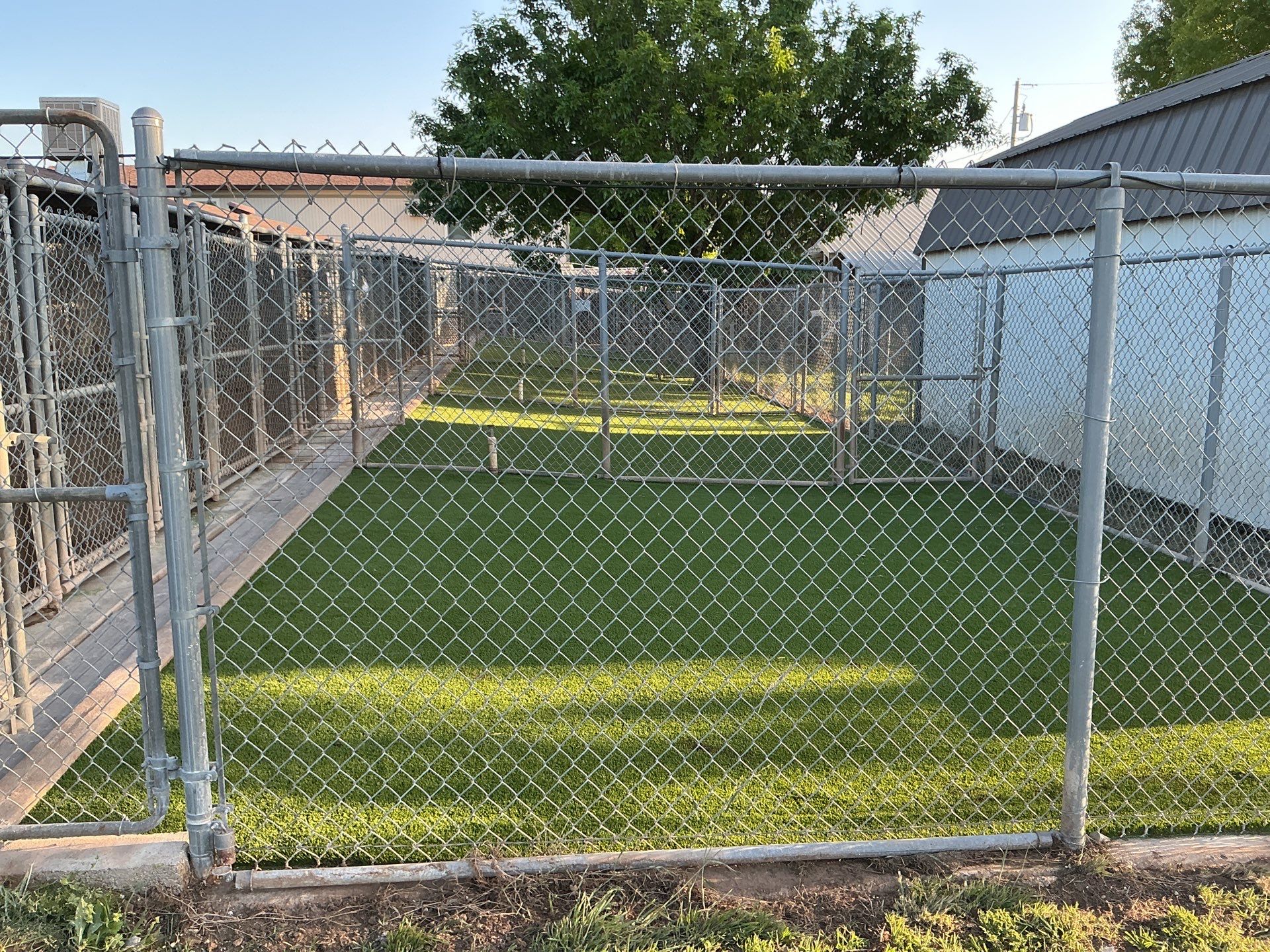Synthetic Turf Installation using Pet Turf by Turf Concepts