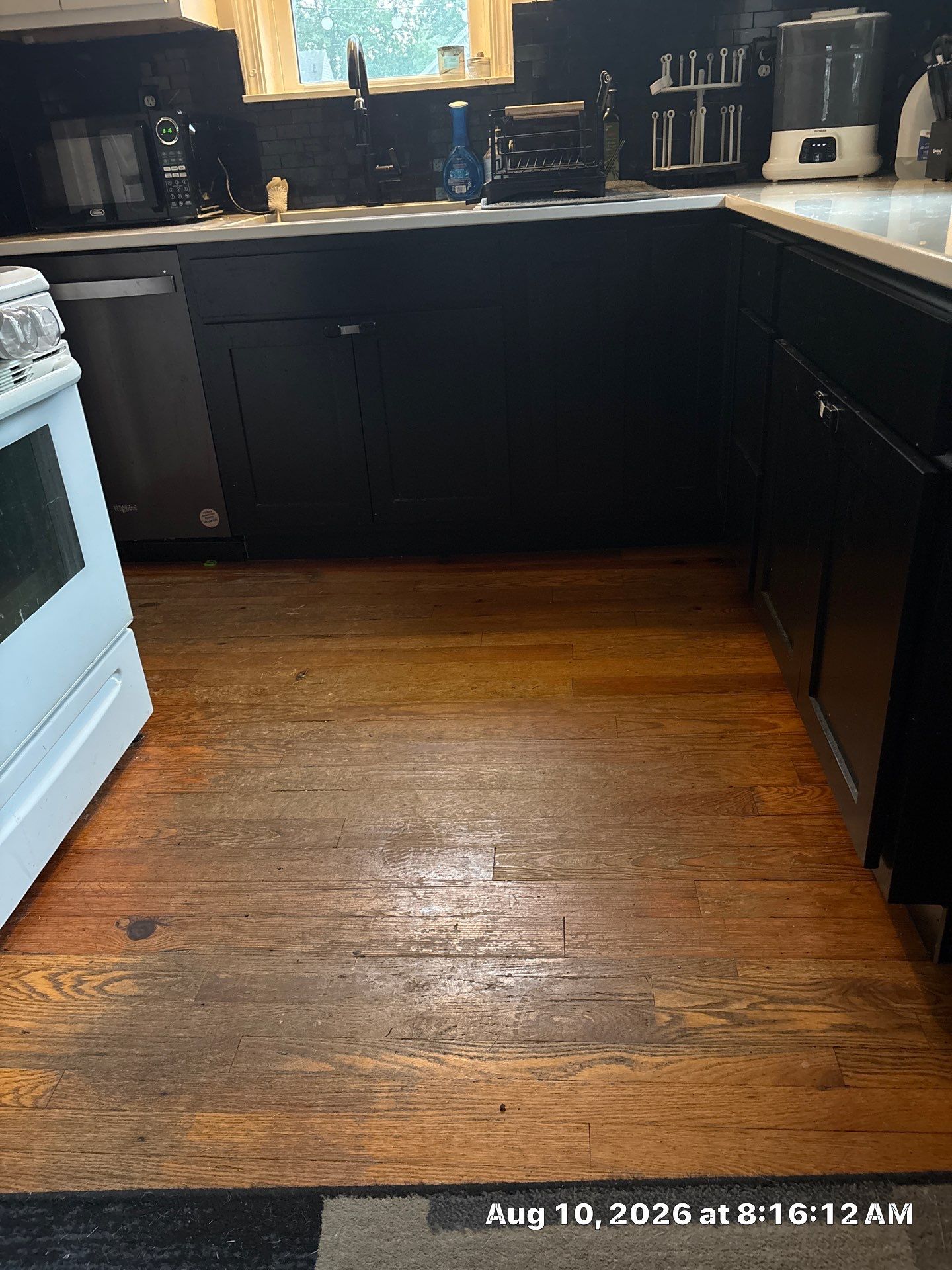 Modern Kitchen Renovation with Black and White Cabinetry in Lincoln by CompanyCam Sales Demo