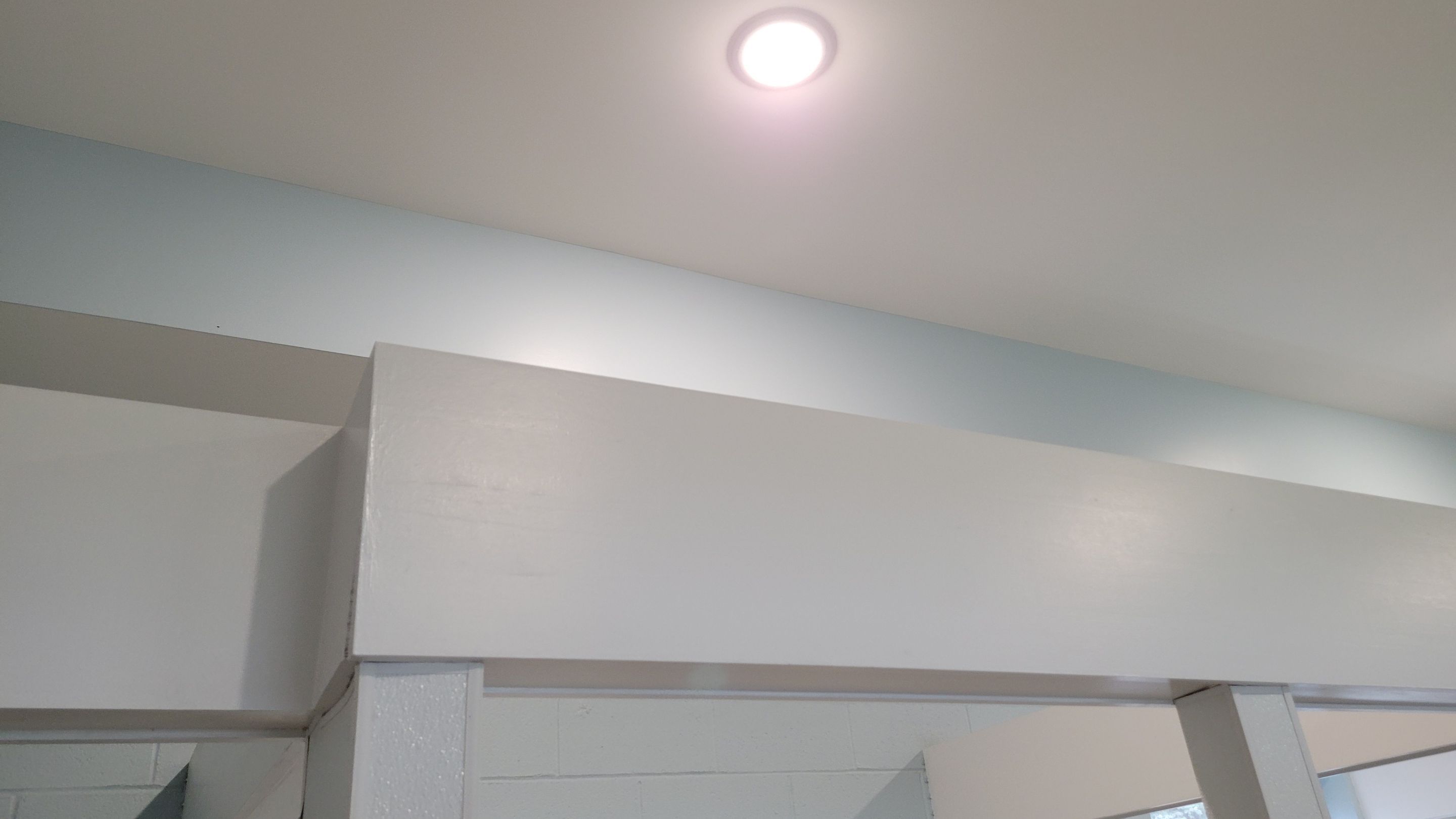 Kennel Floor Coating and Wall Painting using Penntek by Spectrum Painting, LLC