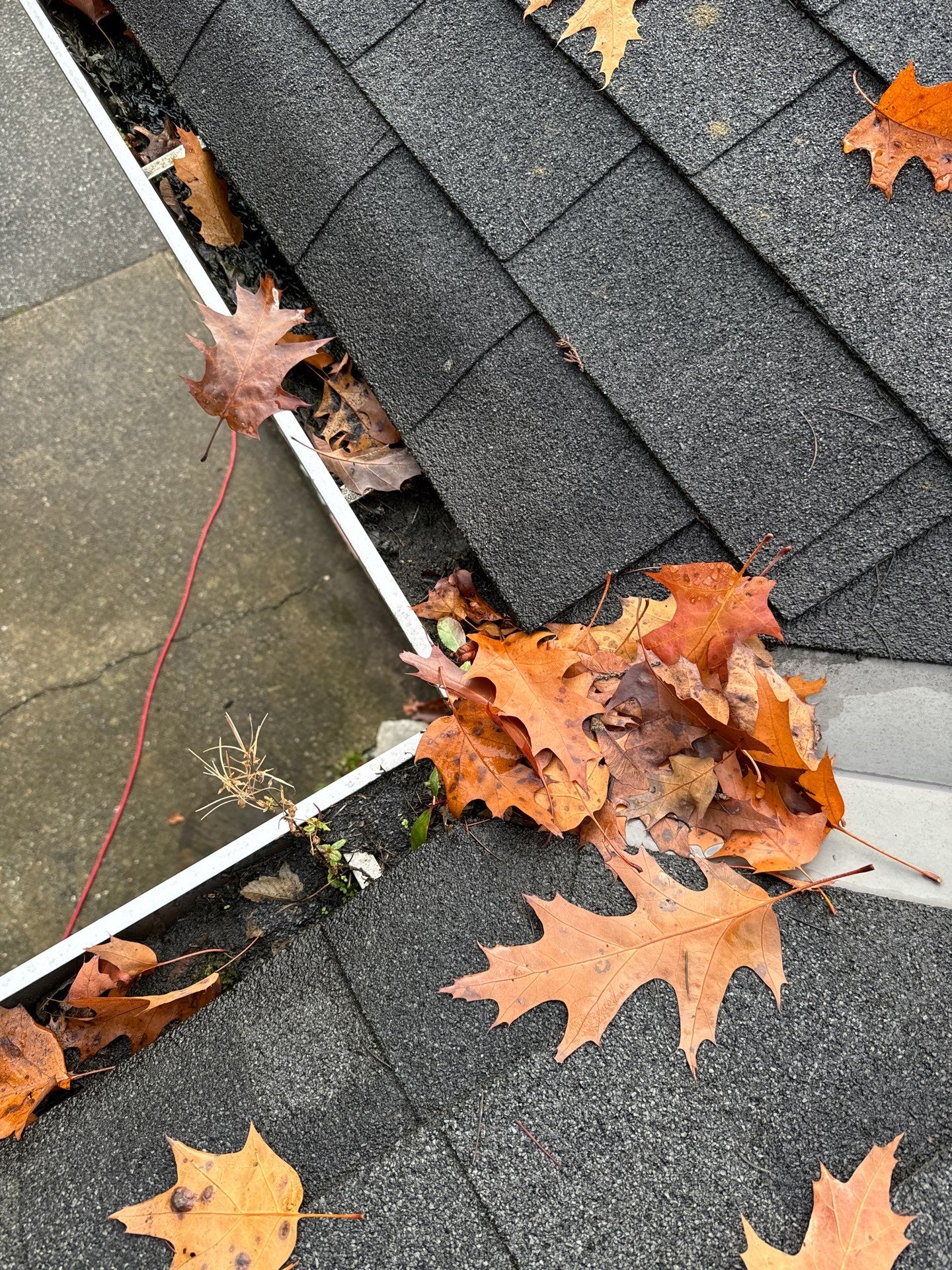 Gutter Cleaning- Taylor Way by YVR Construction Group