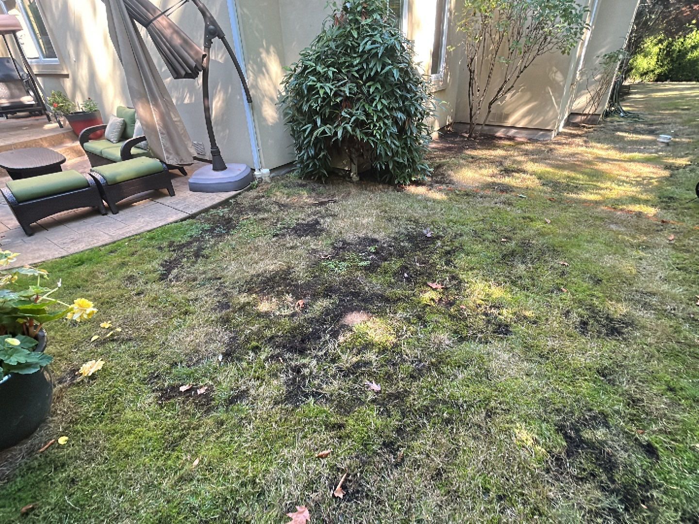 Stamped Concrete Patio  by Jireh Asphalt & Concrete Inc 