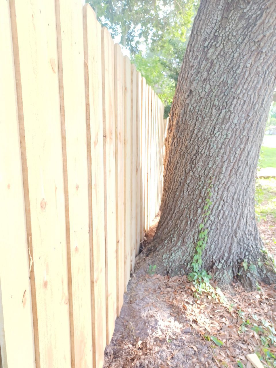 Sarasota, FL 6ft. Tall Treated Board on Board Wood Fence by Asap fence and gates, LLC
