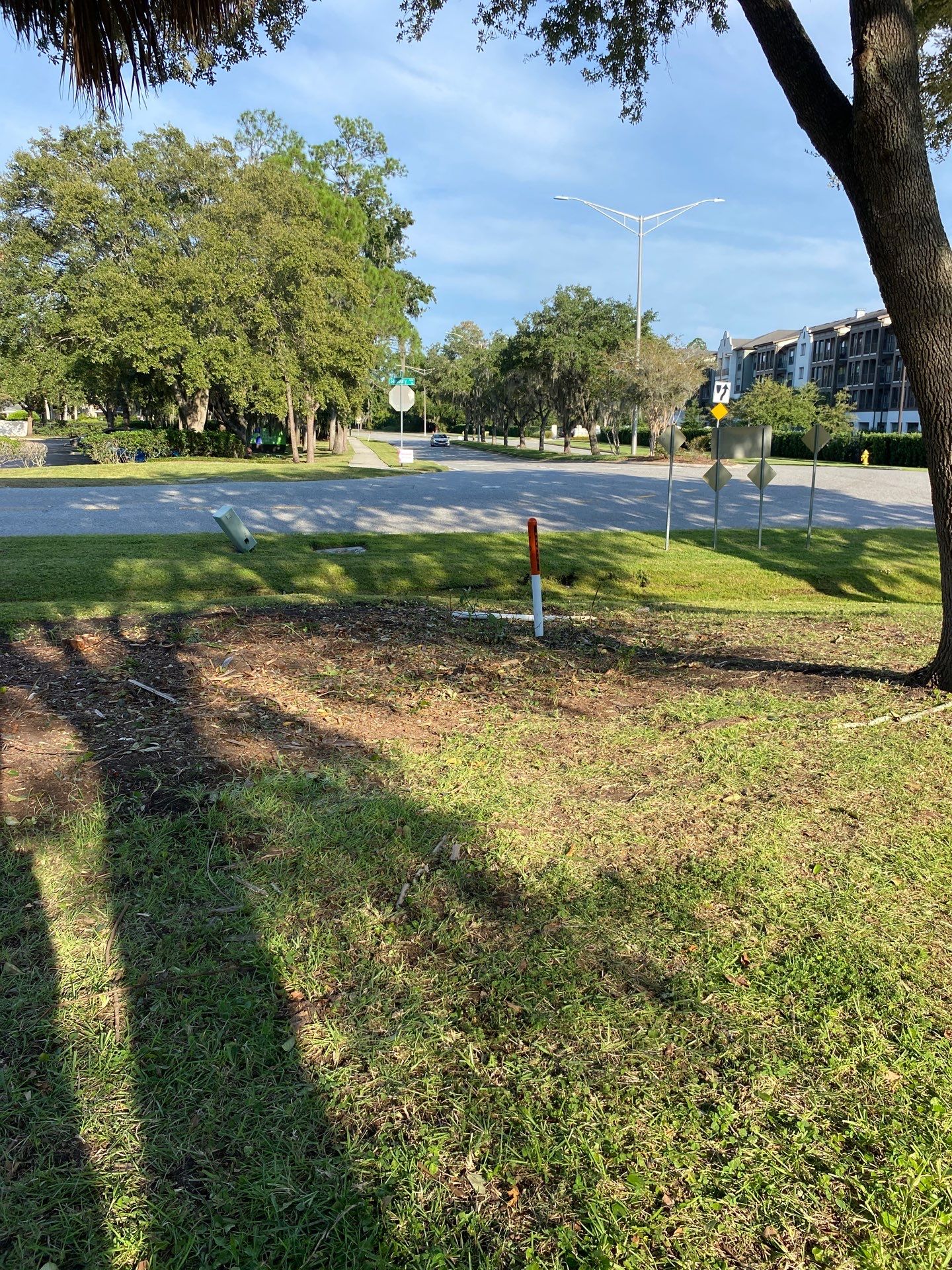 Tree & Shrub Removal | Marriott Hotel by ProGreen Services
