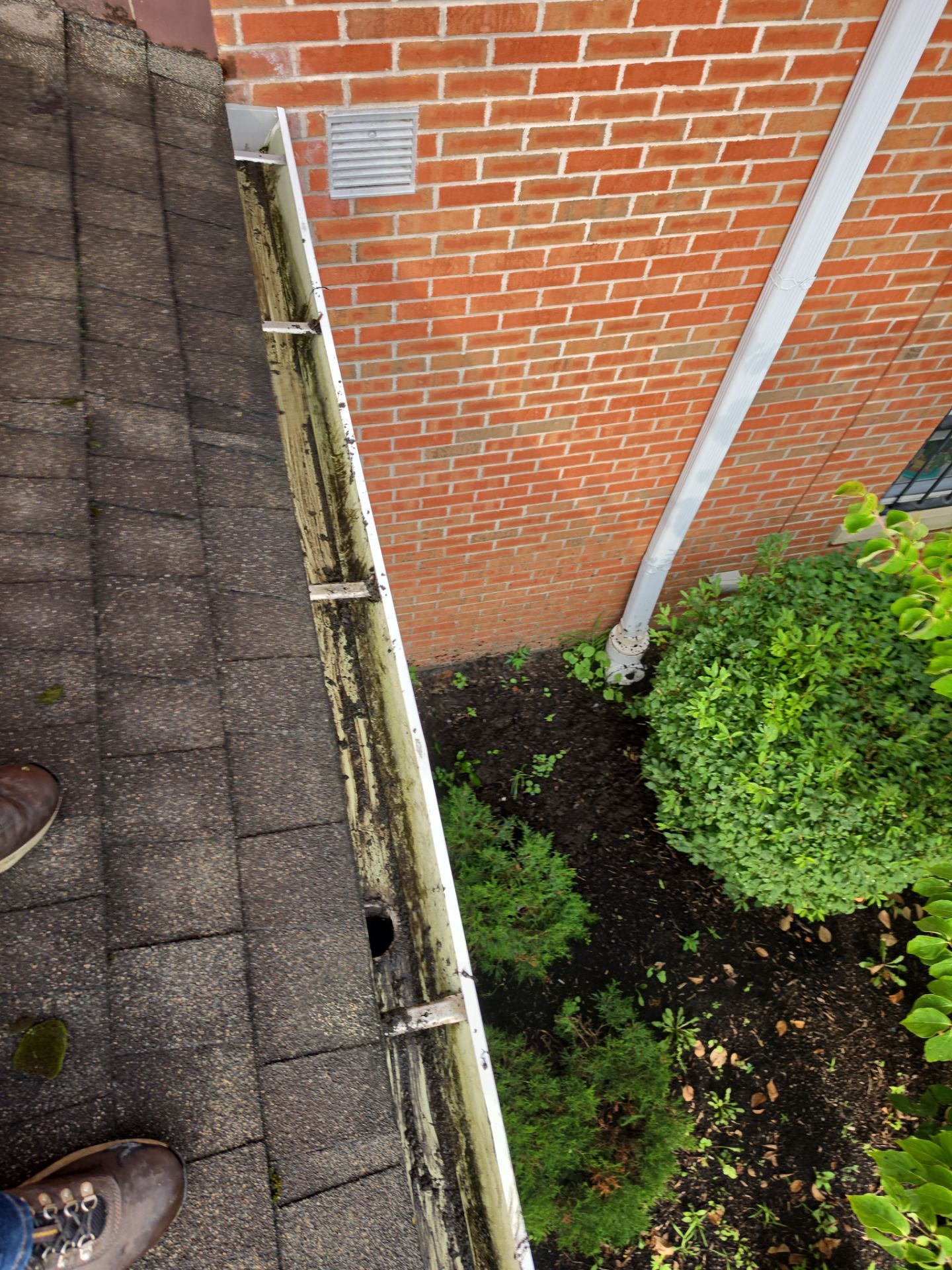 HOA gutter cleaning after photo.