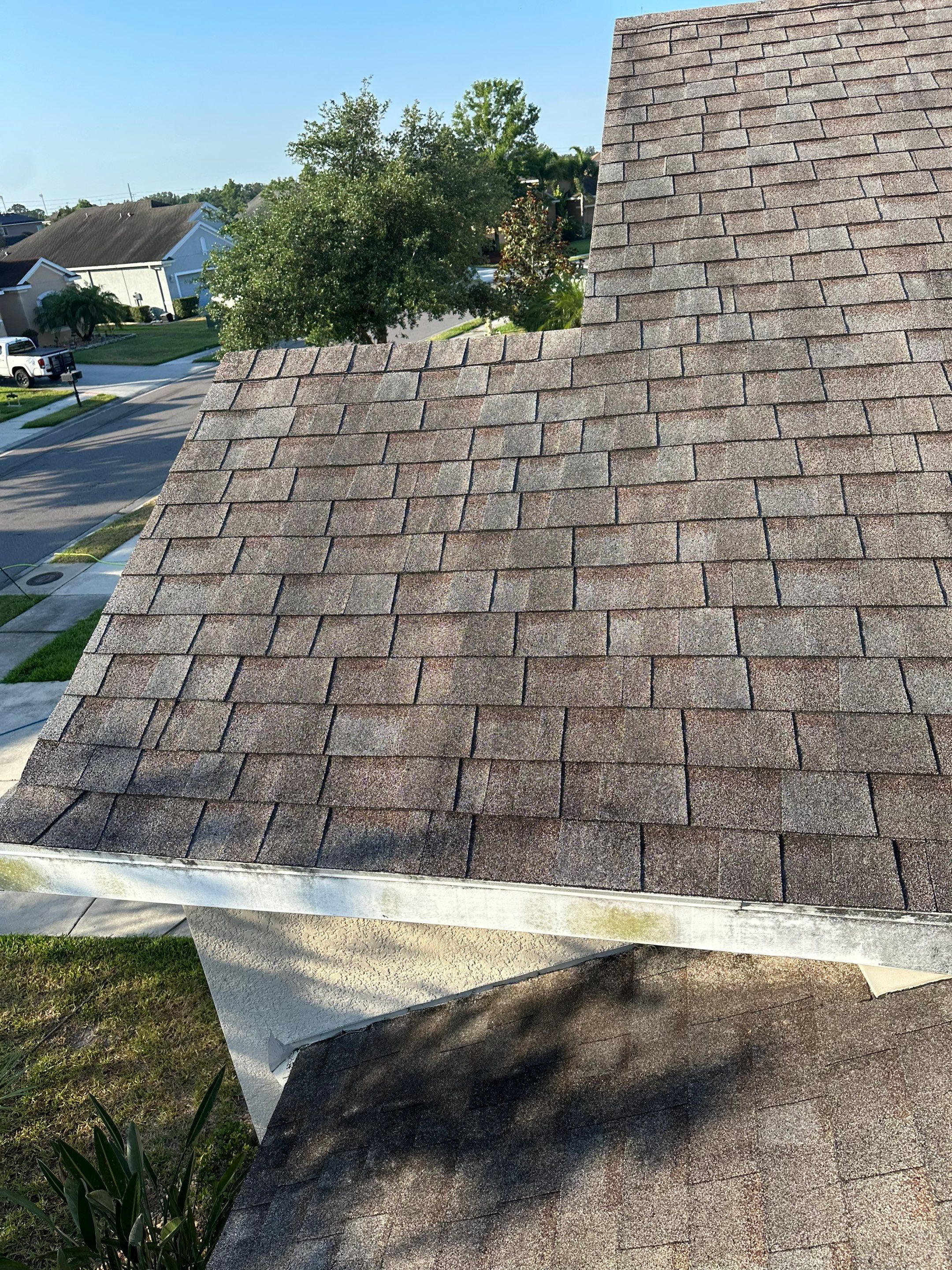 Asphalt Shingle Roof Soft Wash Cleaning & Concrete Pressure Washing in CopperStone Community, Parrish, FL by Sunshine AquaWash