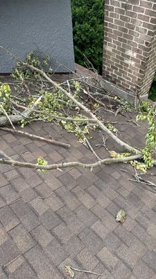 Turtle Shell gutter protection installation in Naperville, IL 60563, photograph 3