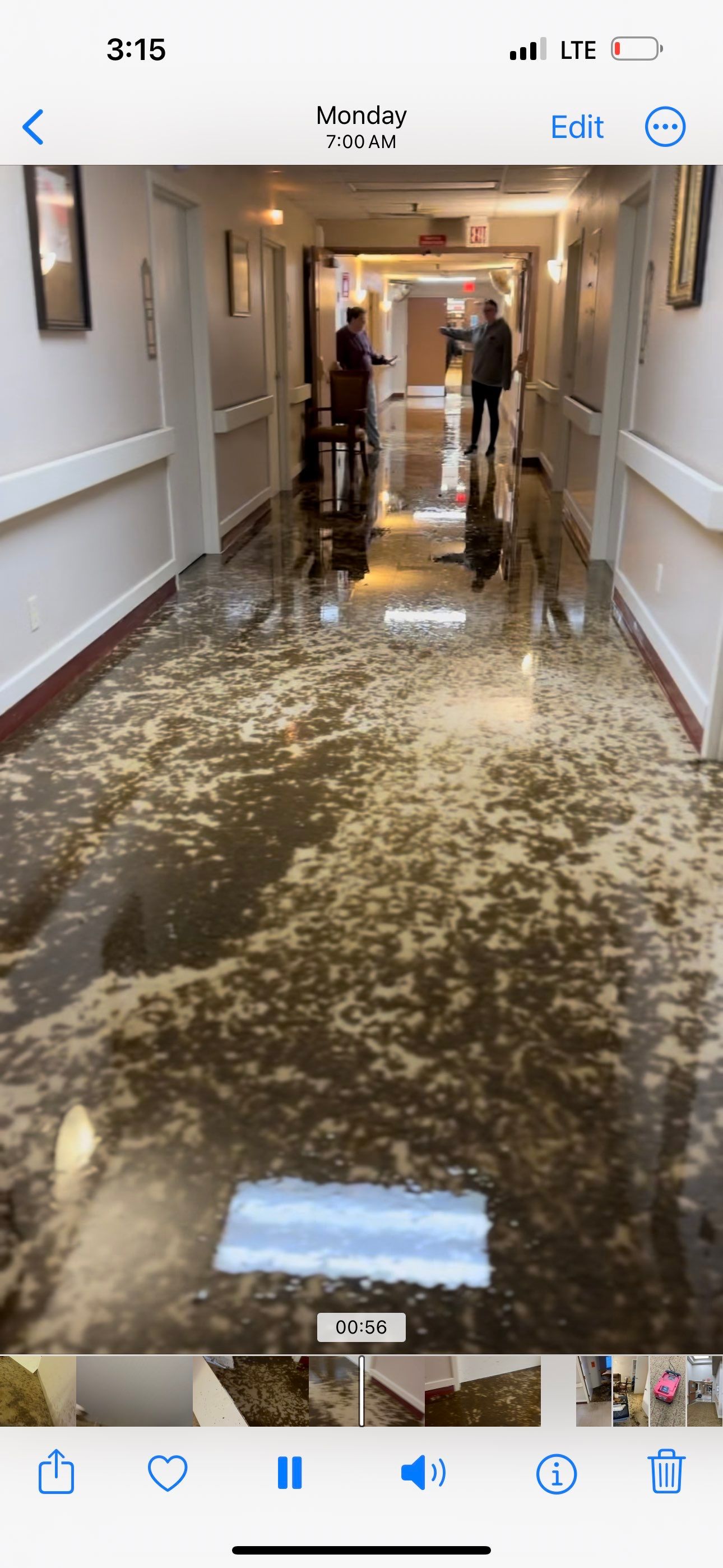 LCCR by BlueRed Restoration