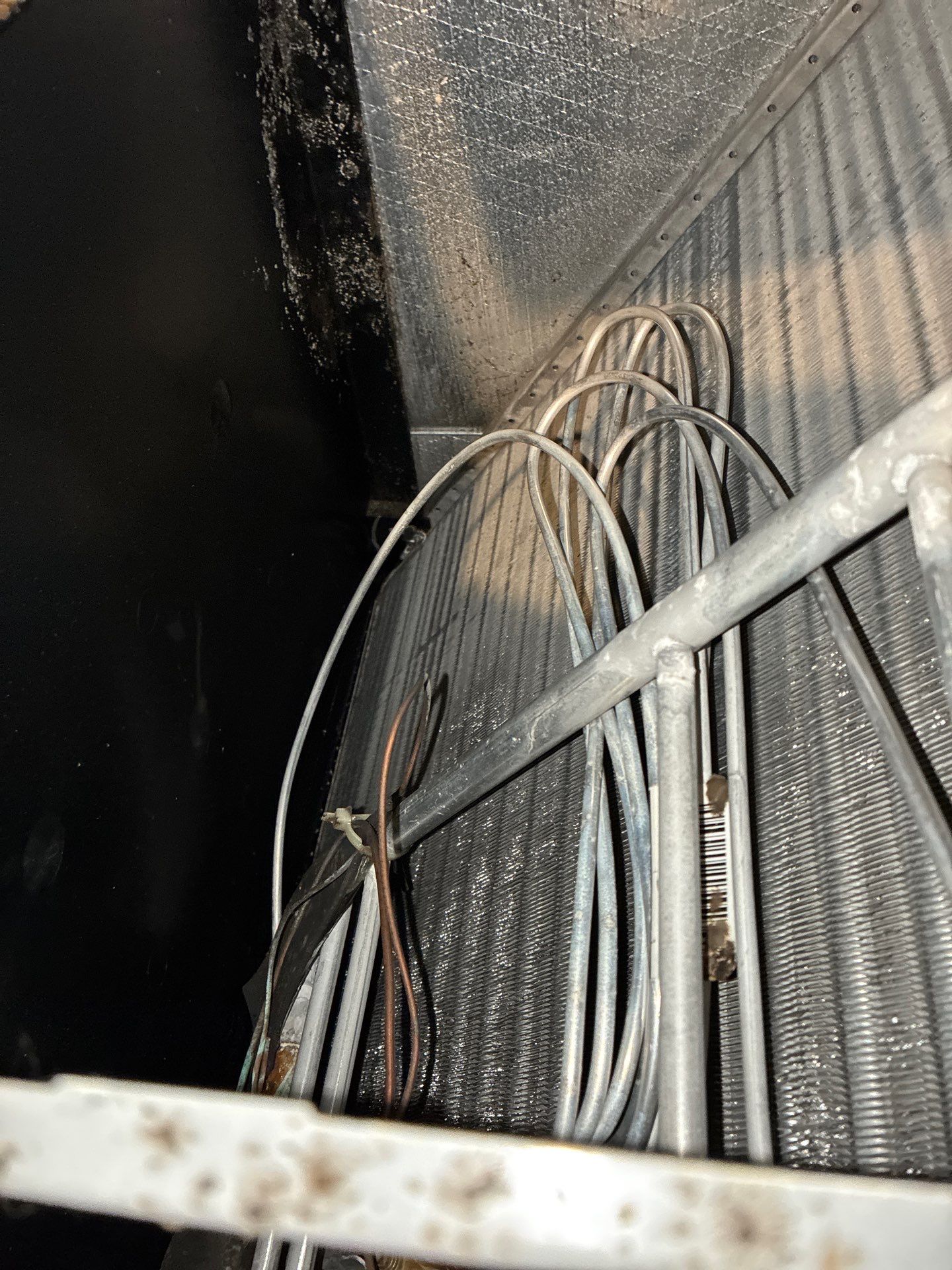 Air Duct Cleaning in Groveland by Hygienic Air, Inc