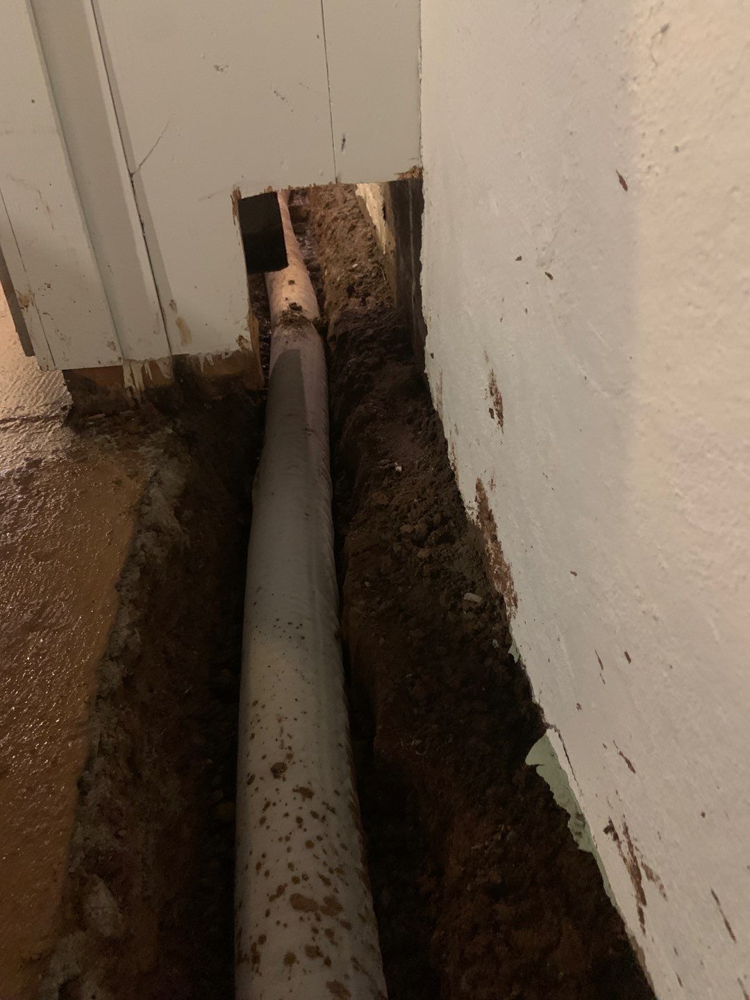 Helping Diane Protect Her Home by Waterproofing Northeast