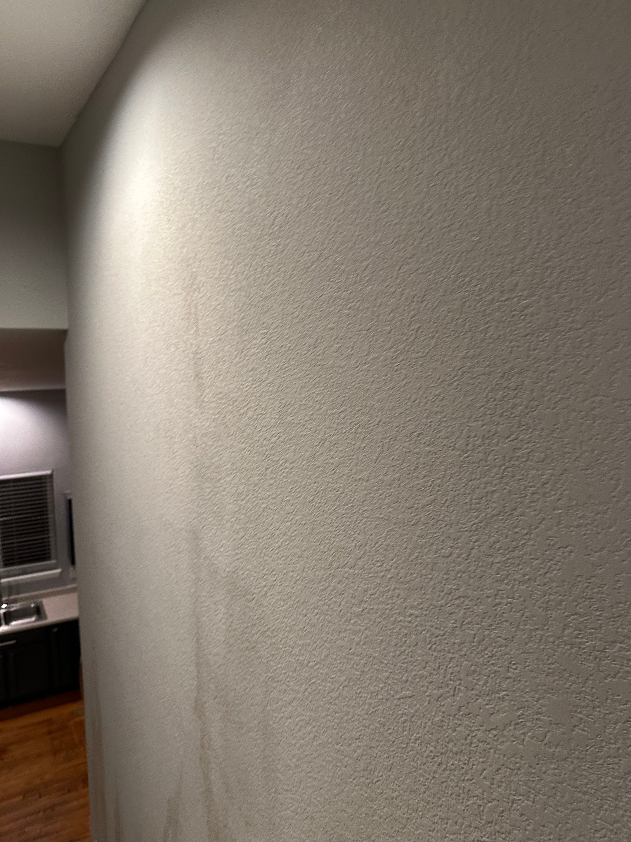 Water Damage in Highlands Ranch by Alpha Restoration 