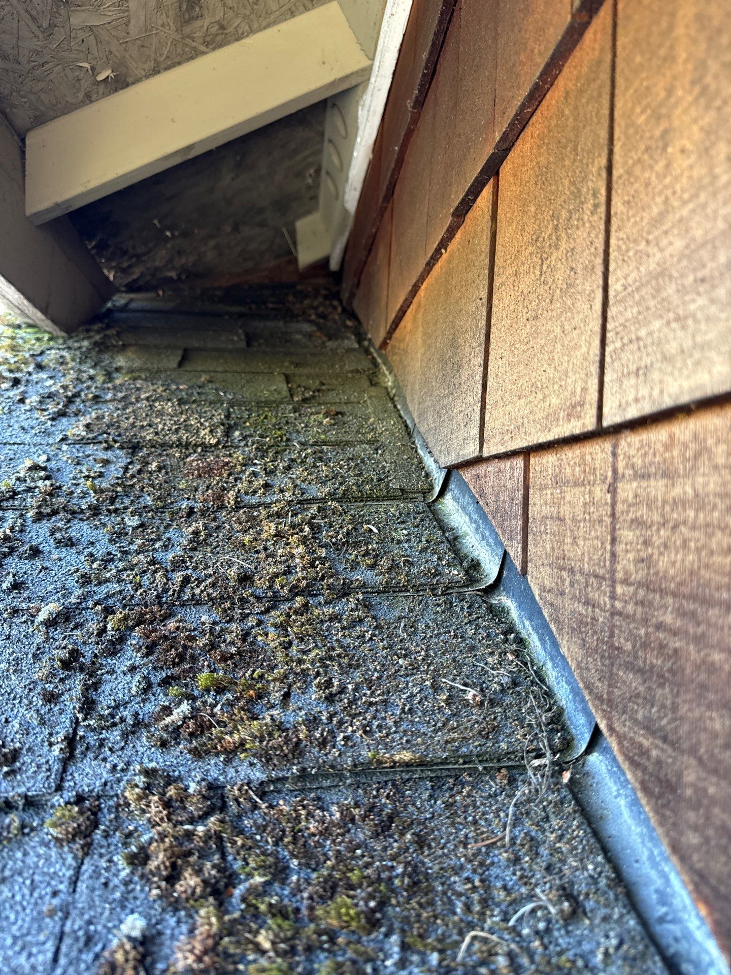 Project in Seattle by Peaks and Valleys Construction