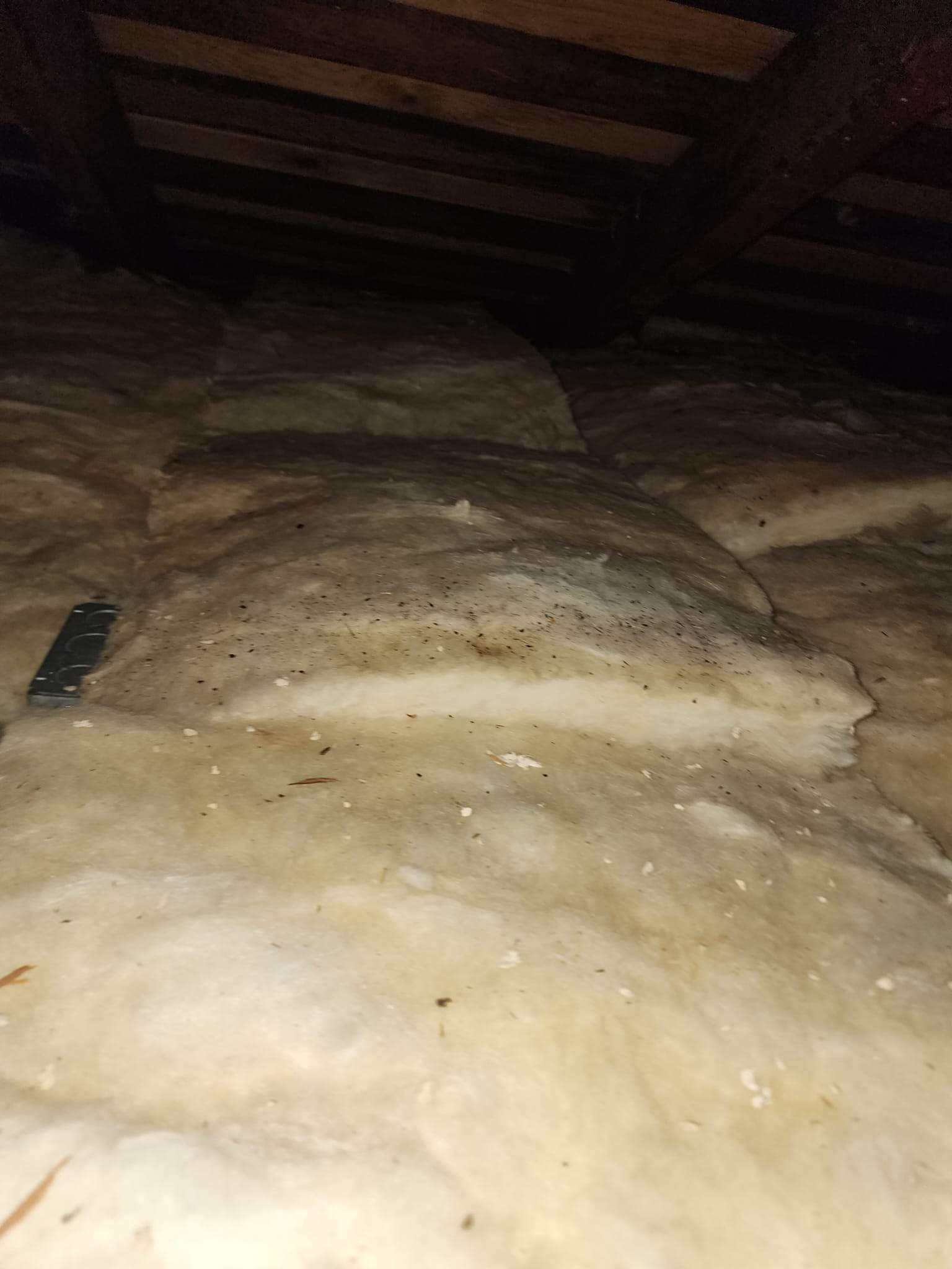 Project by Advanced Attic Solutions by Advanced Attic Solutions