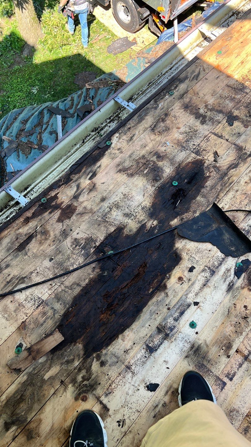 Roof Replacement in Upperco, MD • Dave T. by Seipp Roofing, LLC
