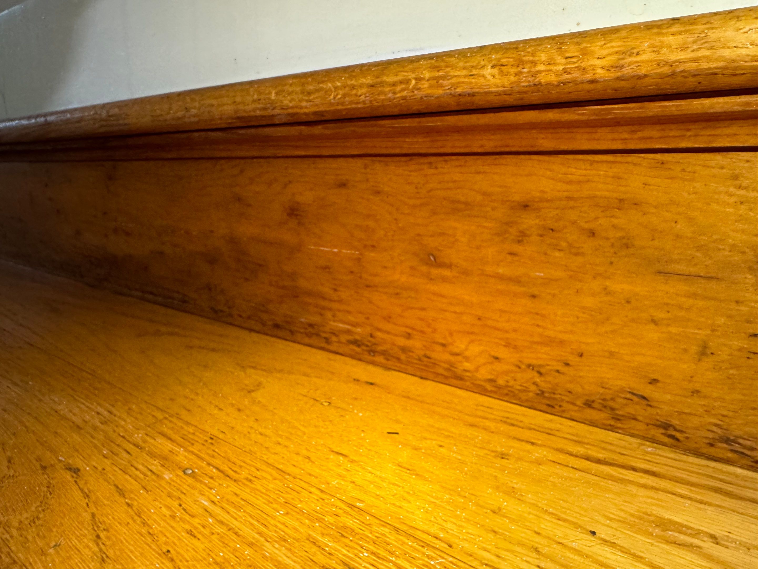 Entire Home Remediation by Home Guarantee, LLC