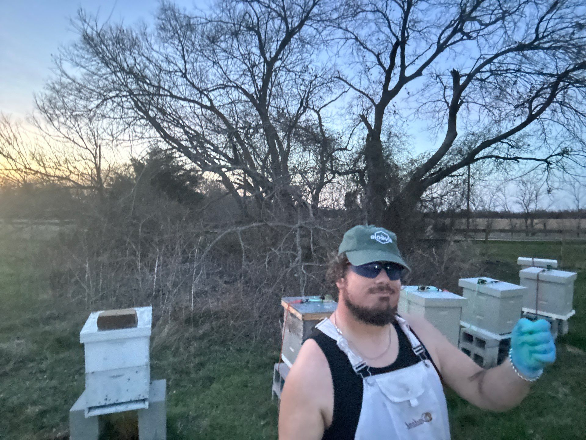 Honey-Maker Apiary in Greenville by Rockwall Honey Bee Company