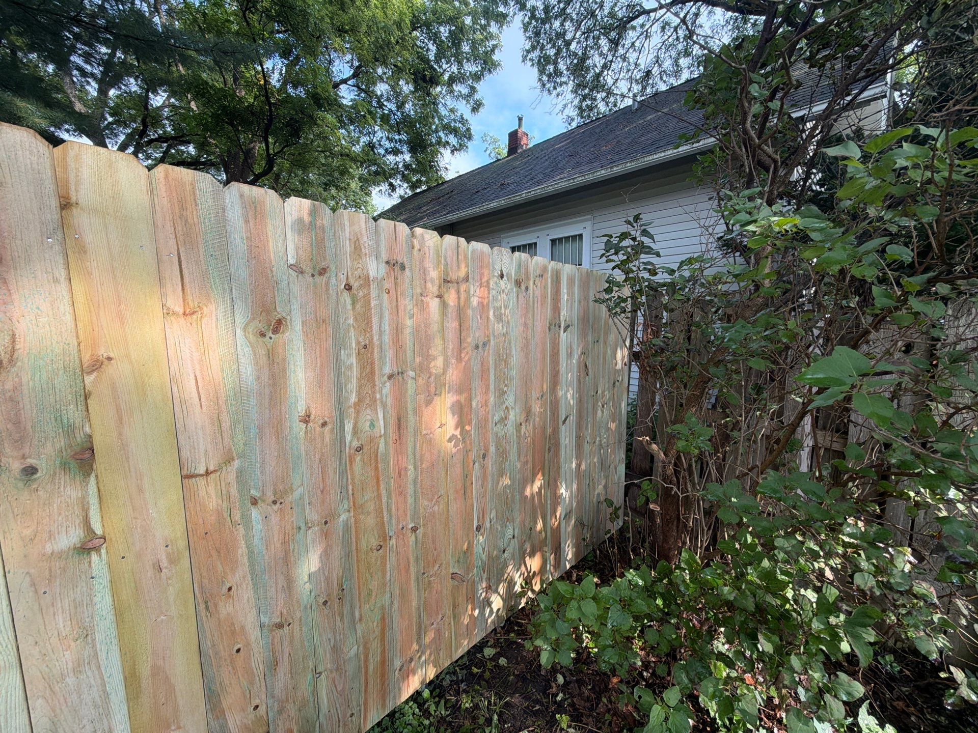 Pressure-Treated Pine Privacy Fence Installation in Cedar Falls by Perfect Picket Fence and Stain
