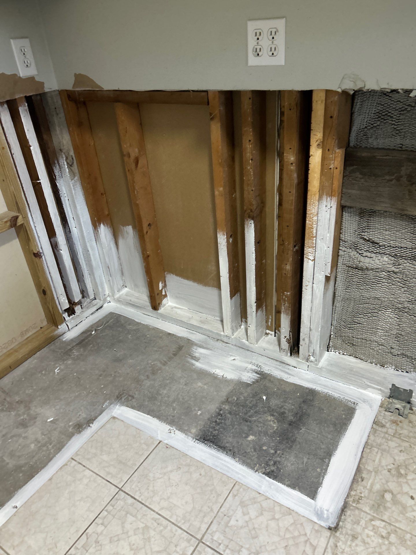 Mold Inspection & Removal by Ampm Restoration Services