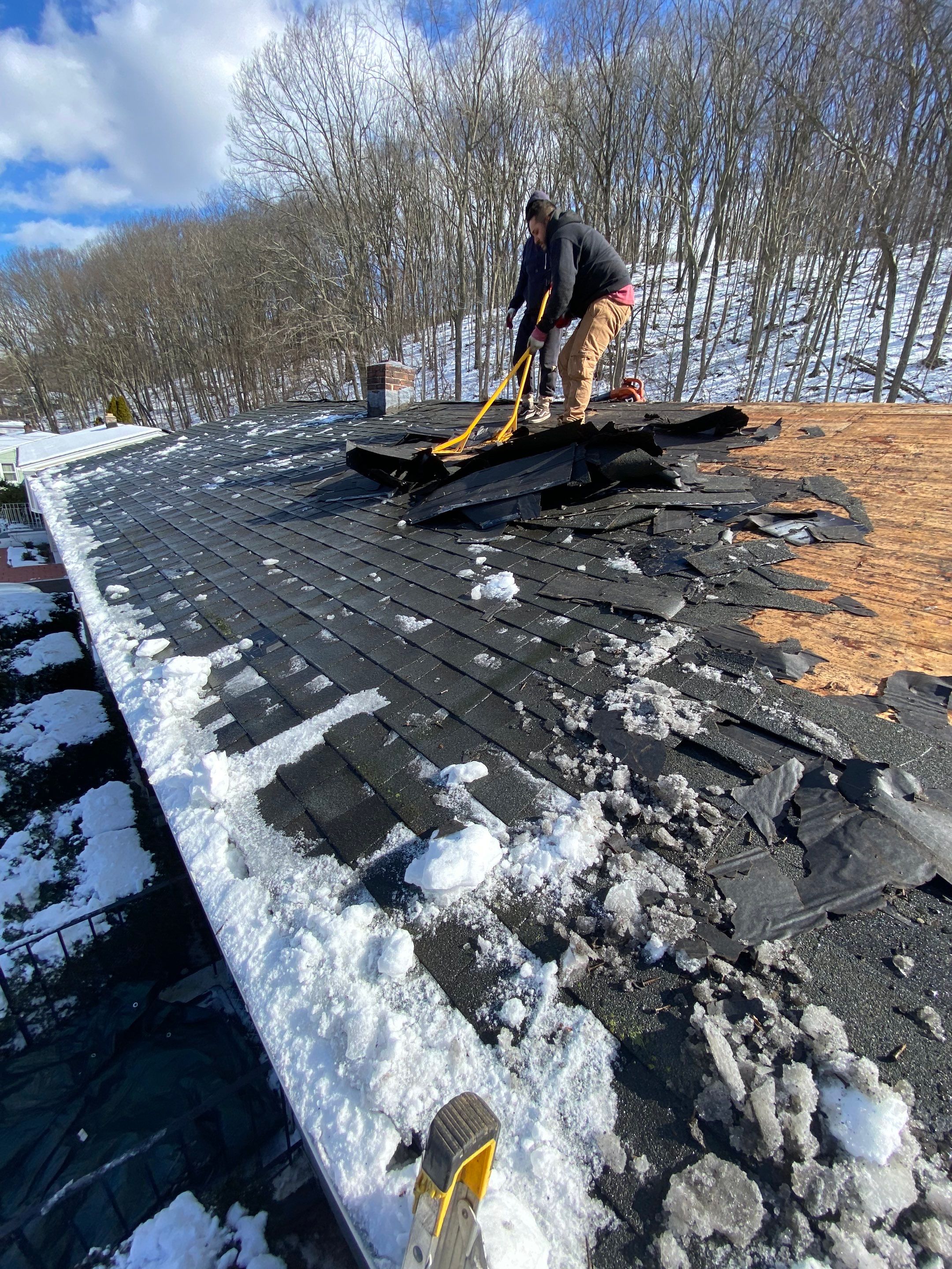 Silver Birch Shingles by Reimagine Roofing