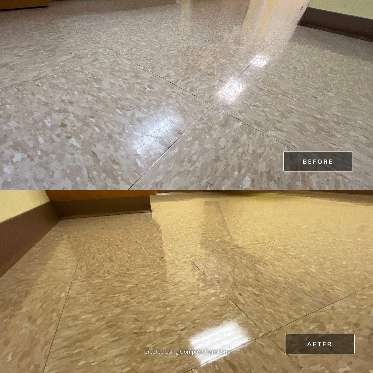 Highland Rim Animal Clinic by Mr. Mister Power Washing