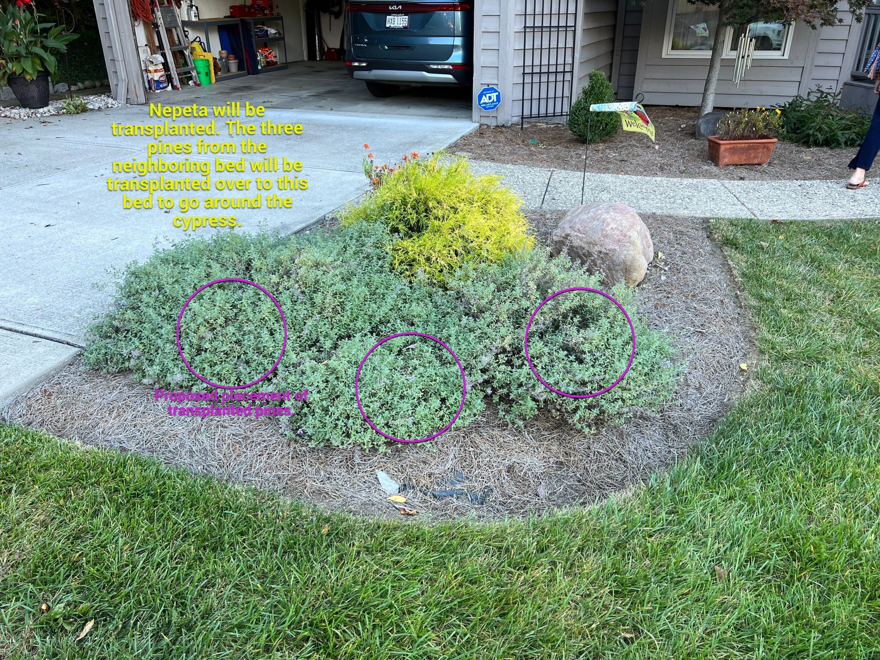 Spring Clean Up using Pine Straw by Reisenberg’s Lawn & Landscape, LLC