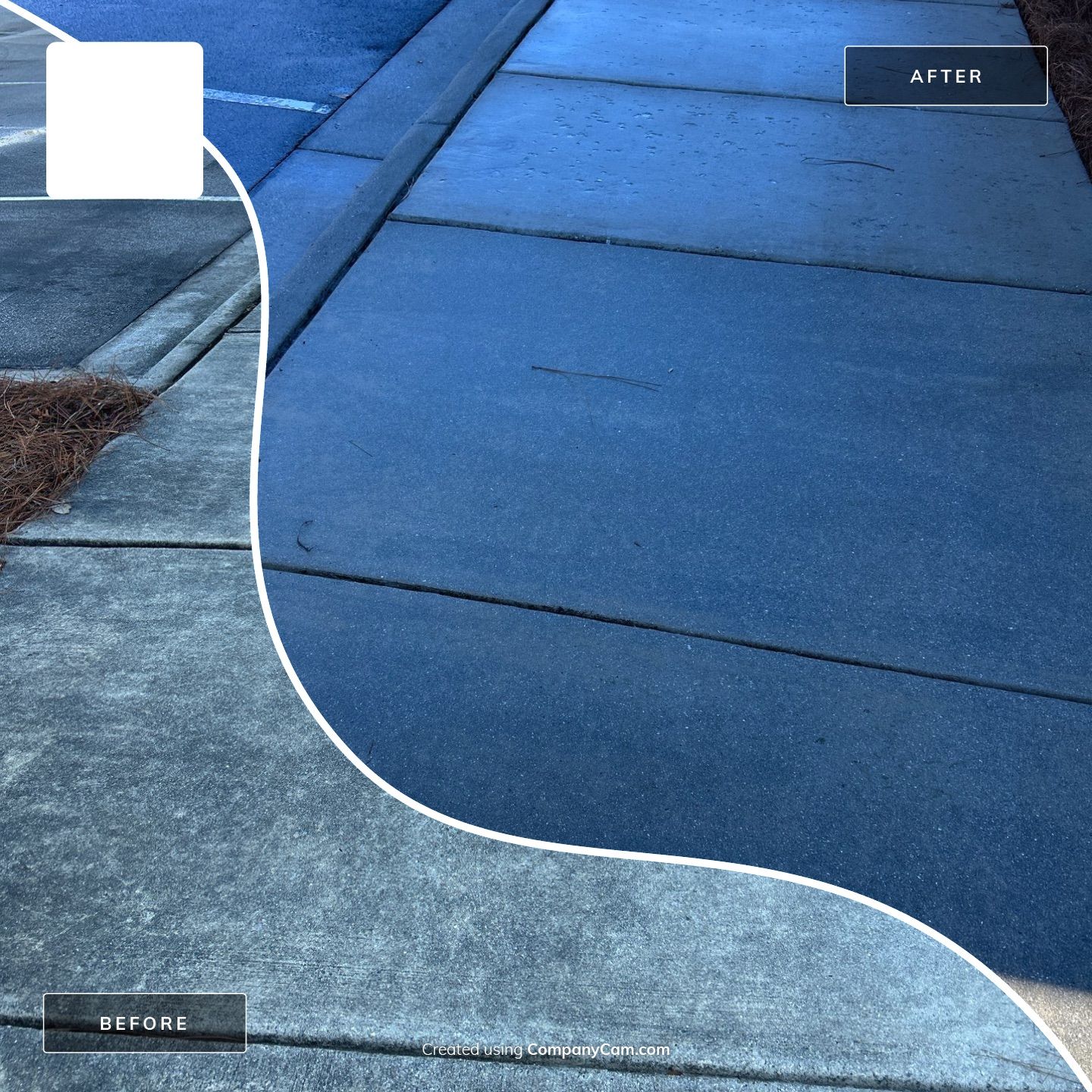 Concrete Cleaning in Hampstead by Shark Power Washing