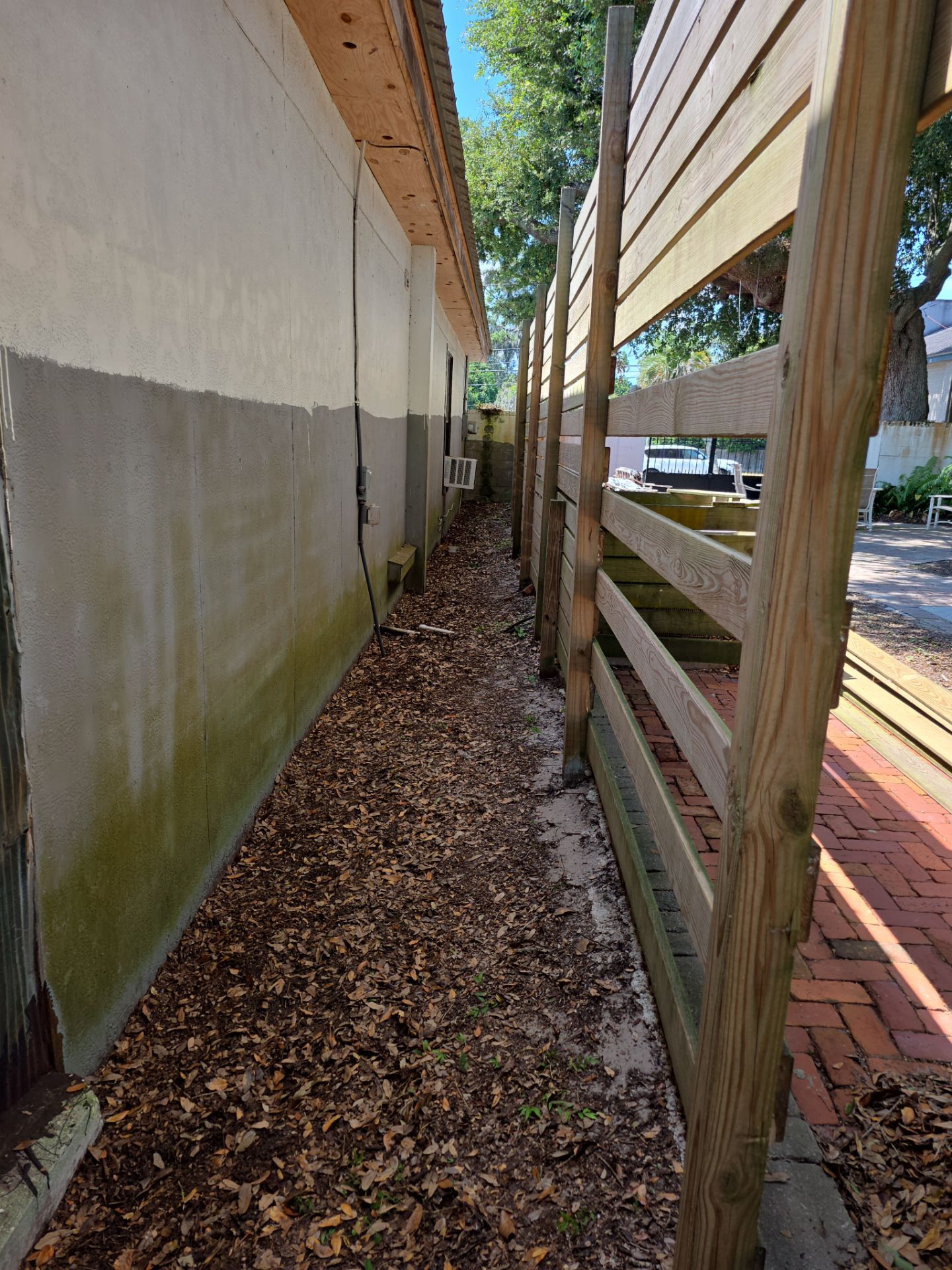 Commercial Property | Clean Up & Tree Removal by ProGreen Services