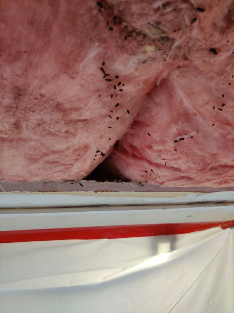 Water Damage in Garage by Accountable Home Services