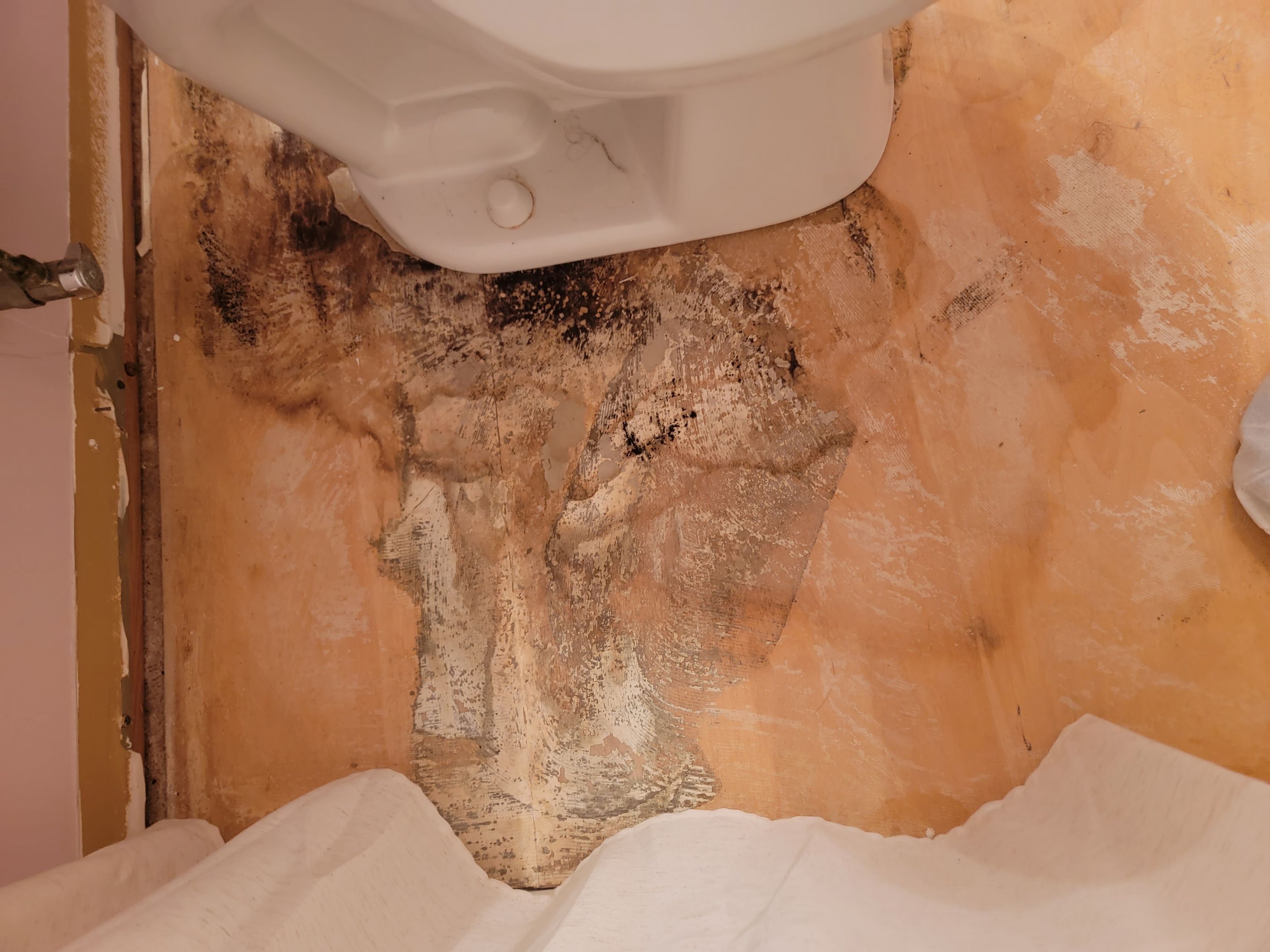 Finished Repairs on Mold Project in Louisville, KY by ANR Restoration